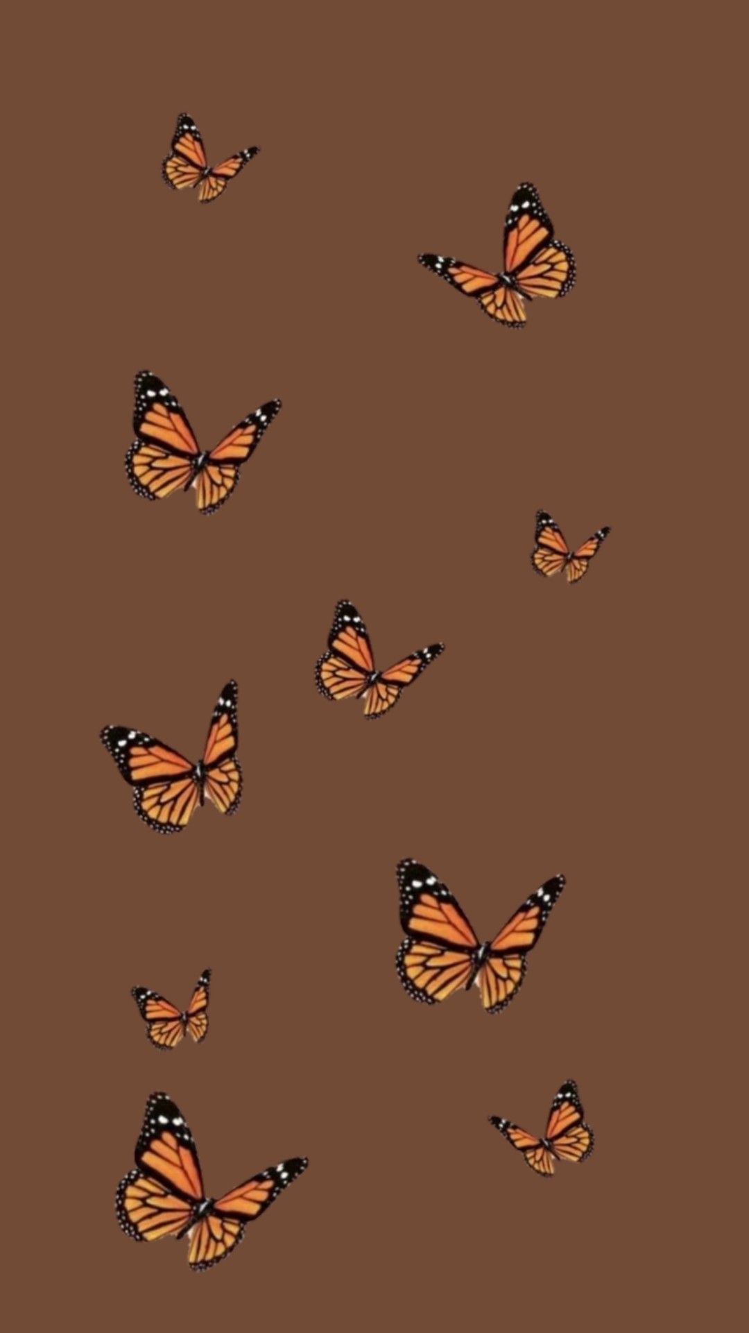 Aesthetic brown butterfly Wallpapers Download  MobCup
