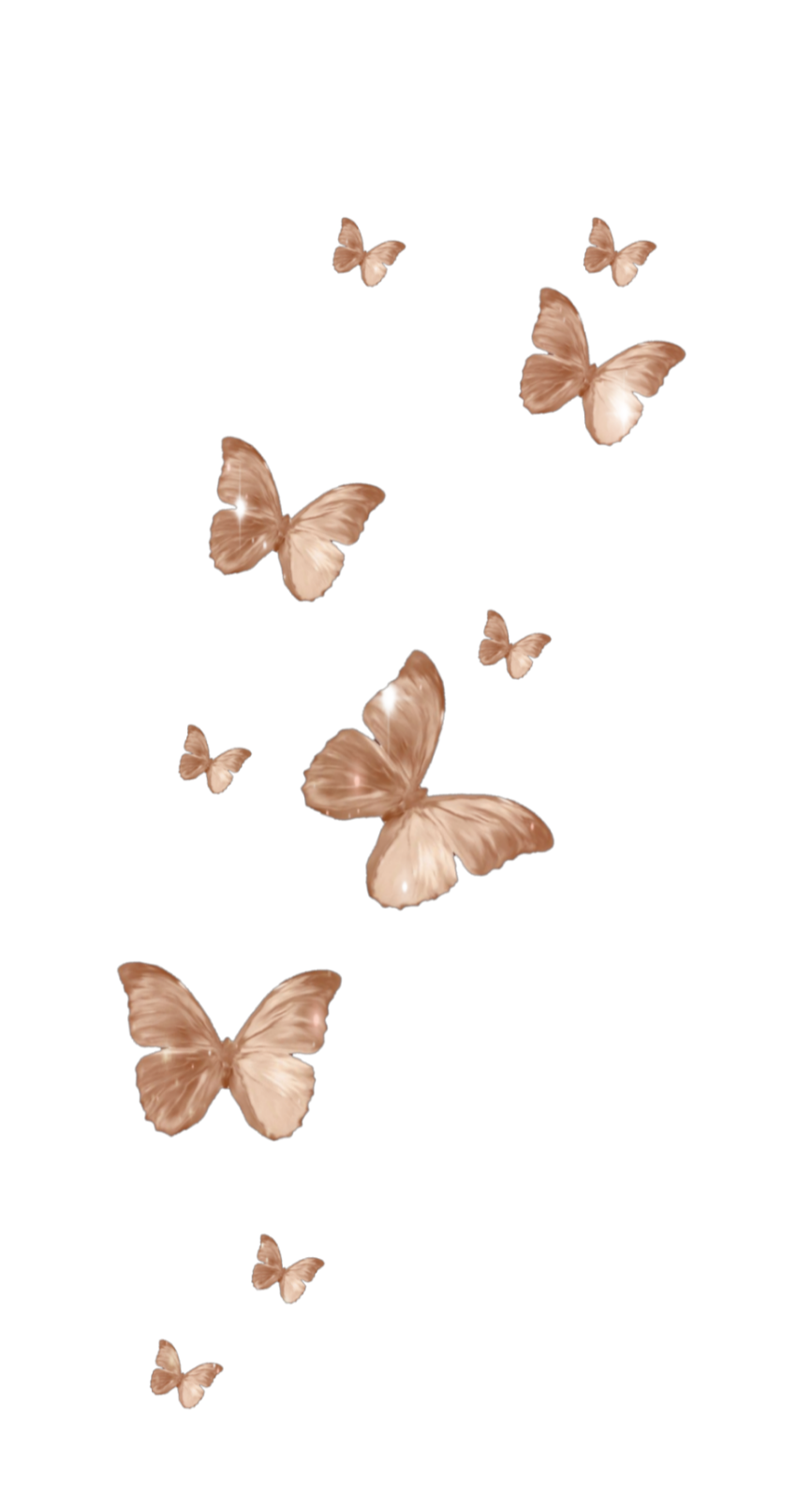 Fall Butterfly Wallpapers  Top Free Fall Butterfly Backgrounds   WallpaperAccess