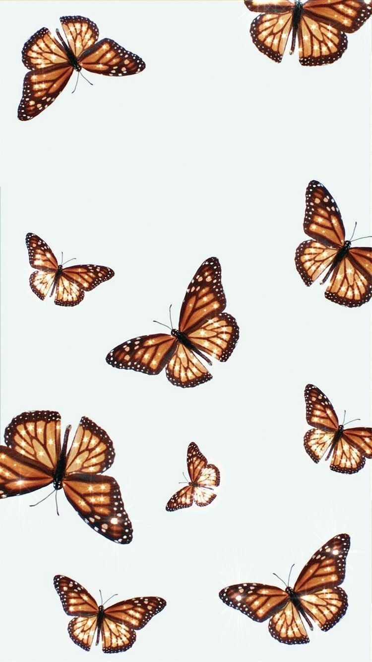 My Saves. Butterfly wallpaper, Butterfly wallpaper iphone, Blue butterfly wallpaper