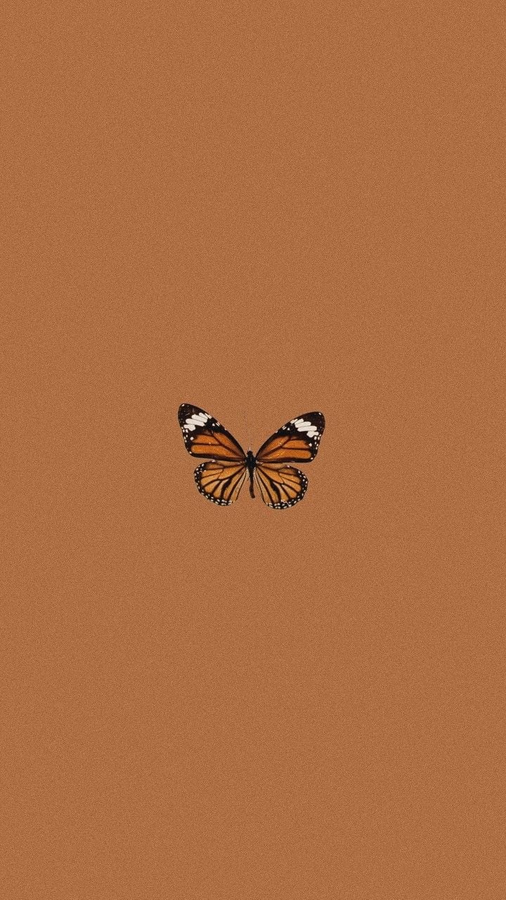 Brown Aesthetic Butterfly Wallpapers - Wallpaper Cave