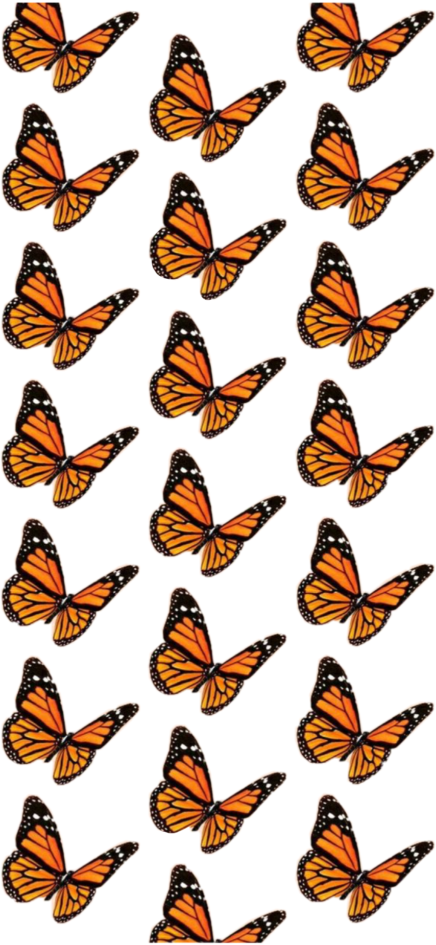 Aesthetic Butterfly Background Wallpaper Portal
