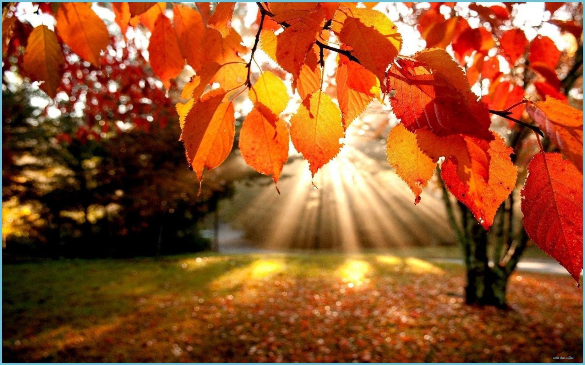 Hello Autumn Laptop Wallpaper Free Hello Autumn Laptop Laptop Wallpaper