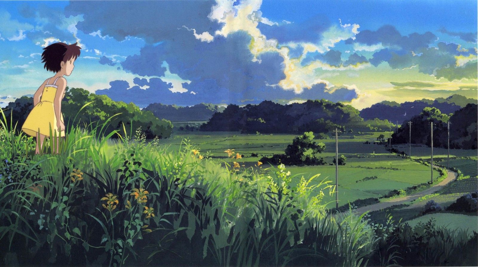 sunlight, landscape, sunset, anime girls, nature, grass, sky, field, morning, Totoro, My Neighbor Totoro, Studio Ghibli, flower, grassland, agriculture, meadow, plain, lawn, prairie, rural area, computer wallpaper, paddy field High quality