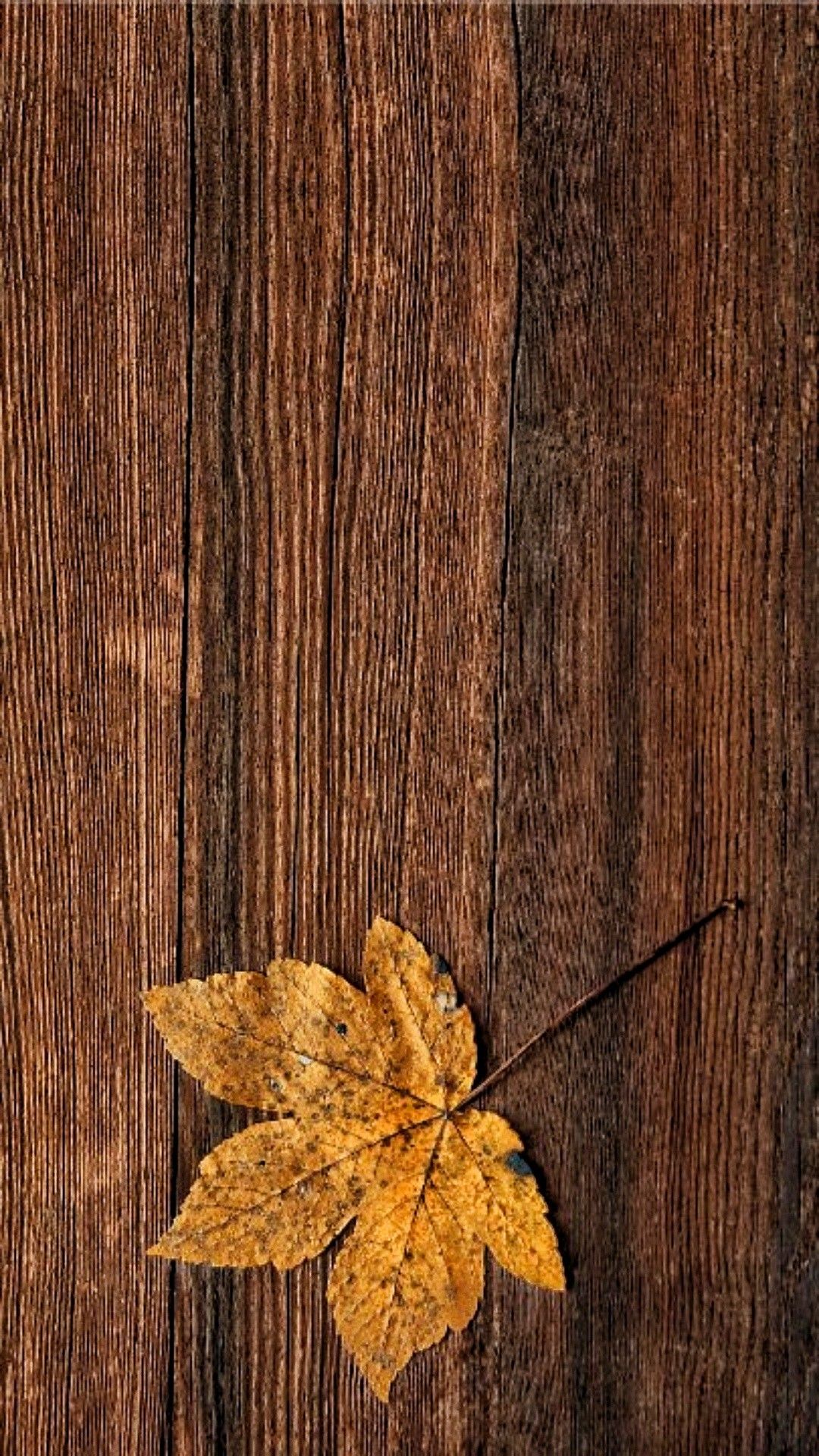 Akiyama. Autumn leaves wallpaper, Fall wallpaper, iPhone wallpaper fall