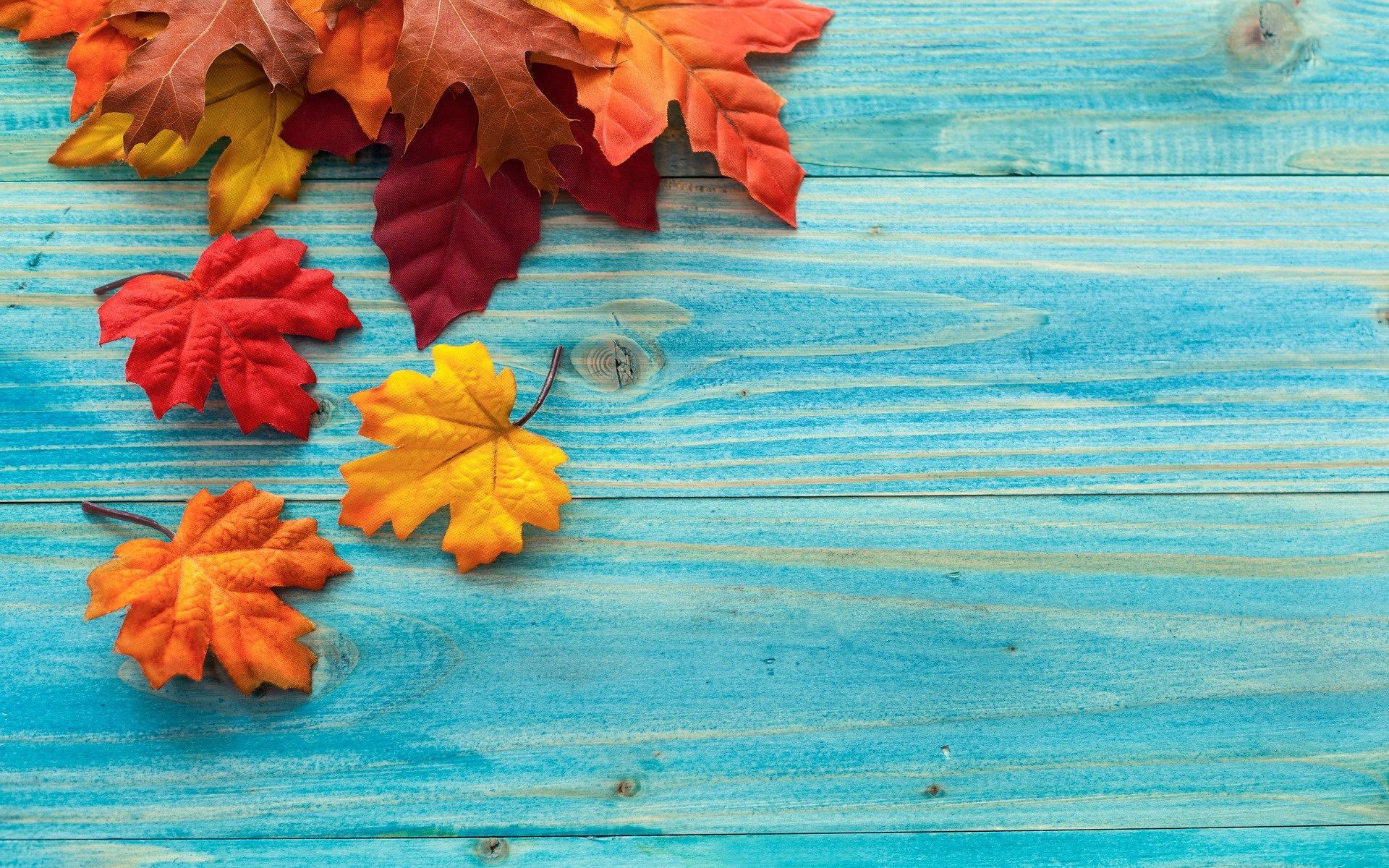 widescreen background fall. Desktop wallpaper fall, Autumn leaves wallpaper, Computer wallpaper