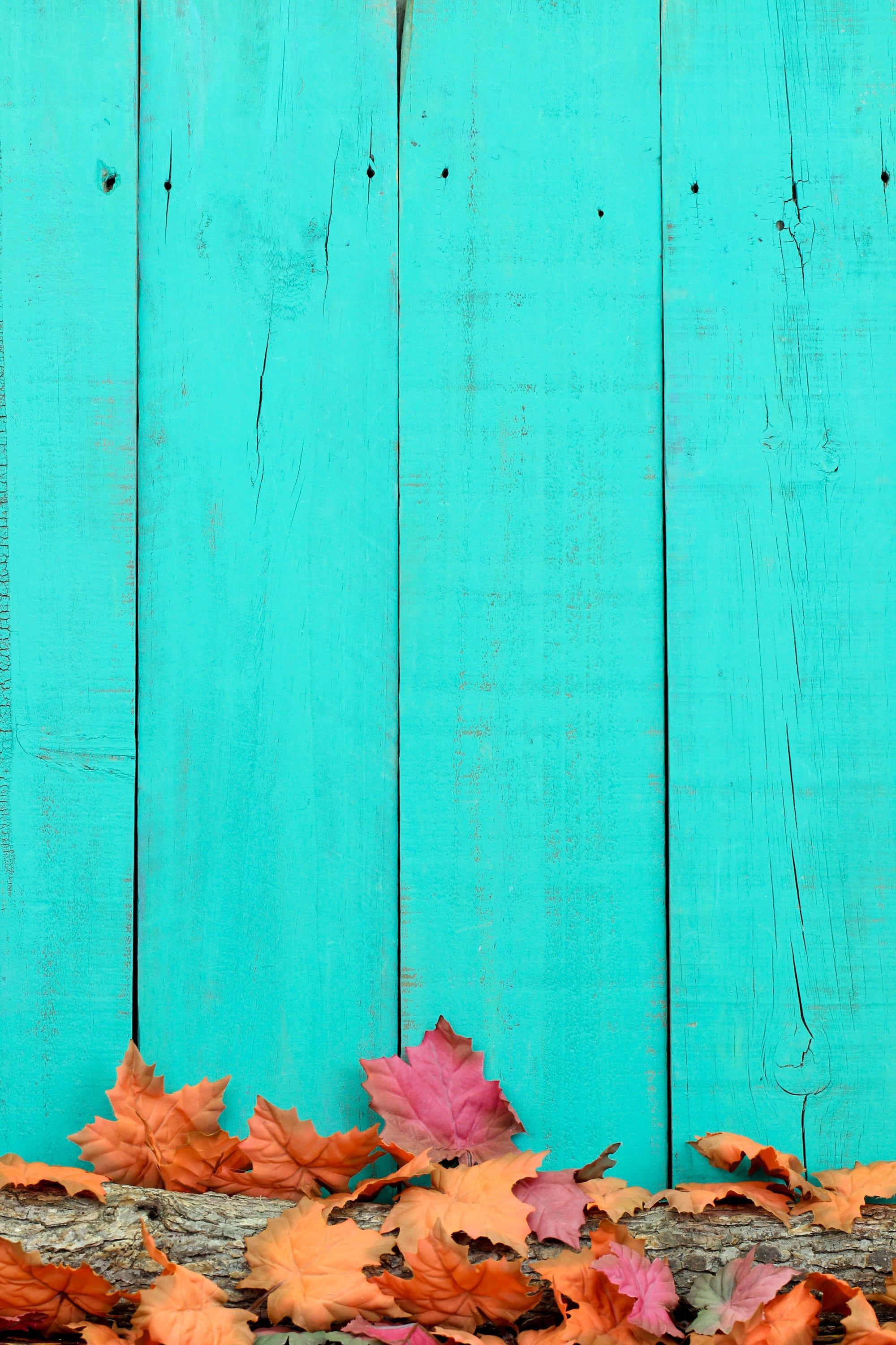 Best IOS 14 Fall Wallpaper For Your Home Screen Aesthetic