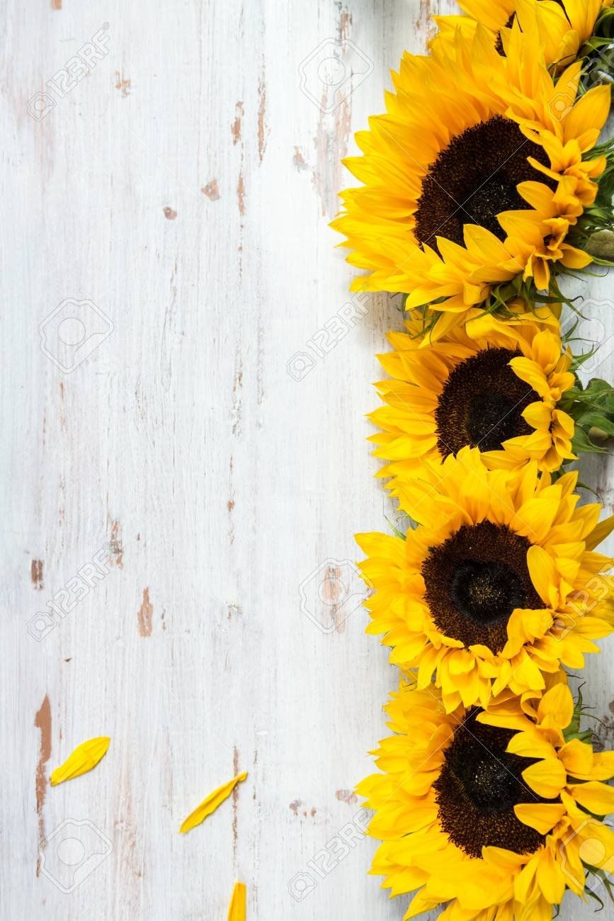 Free download Yellow Sunflower Bouquet On White Rustic Background Autumn [867x1300] for your Desktop, Mobile & Tablet. Explore Rustic Background. Free Rustic Wallpaper, Rustic Look Wallpaper, Rustic Wallpaper Border