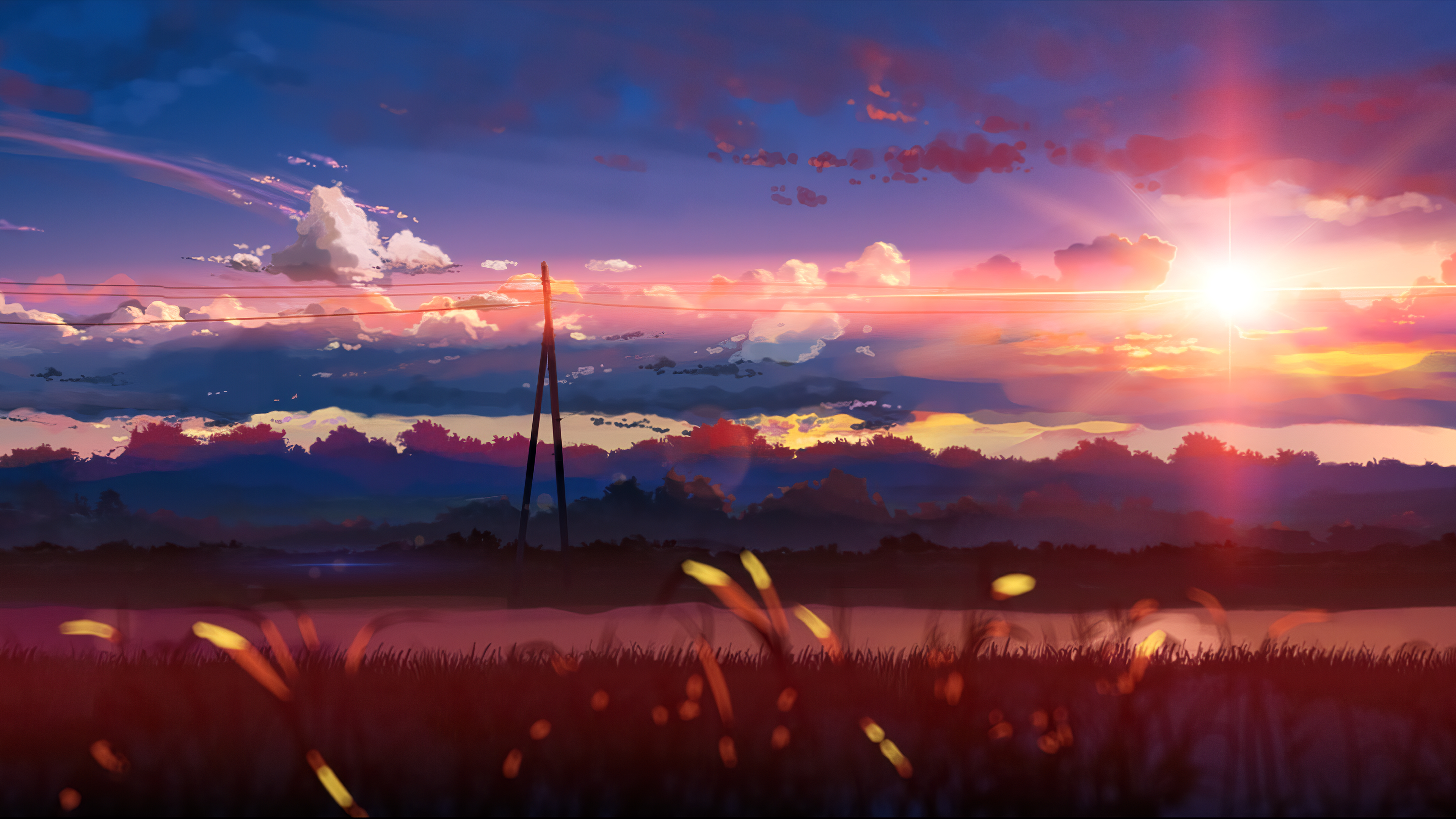 Centimeters Per Second Wallpaper 4k