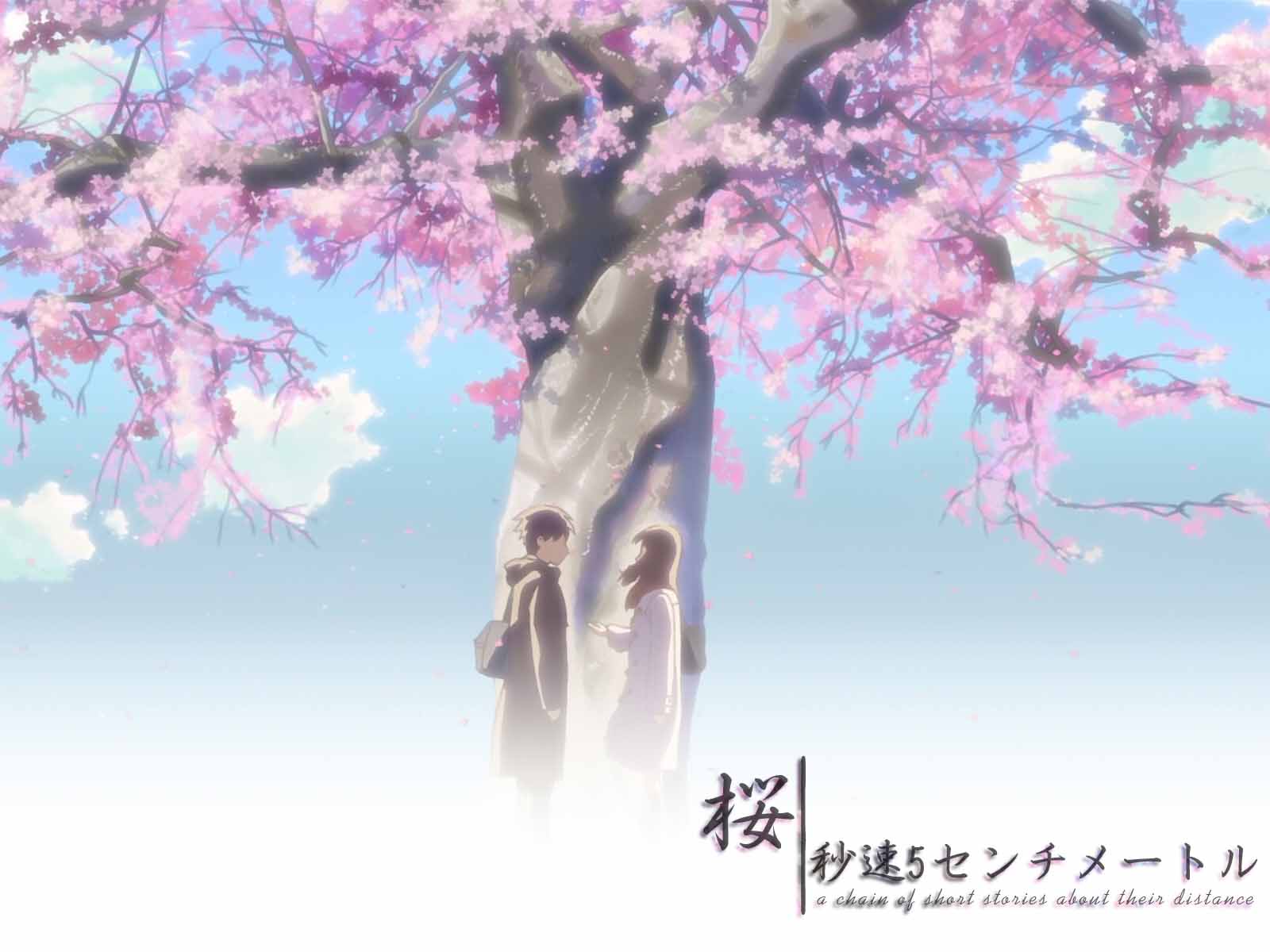 Centimeters Per Second Wallpaper Free Centimeters Per Second Background