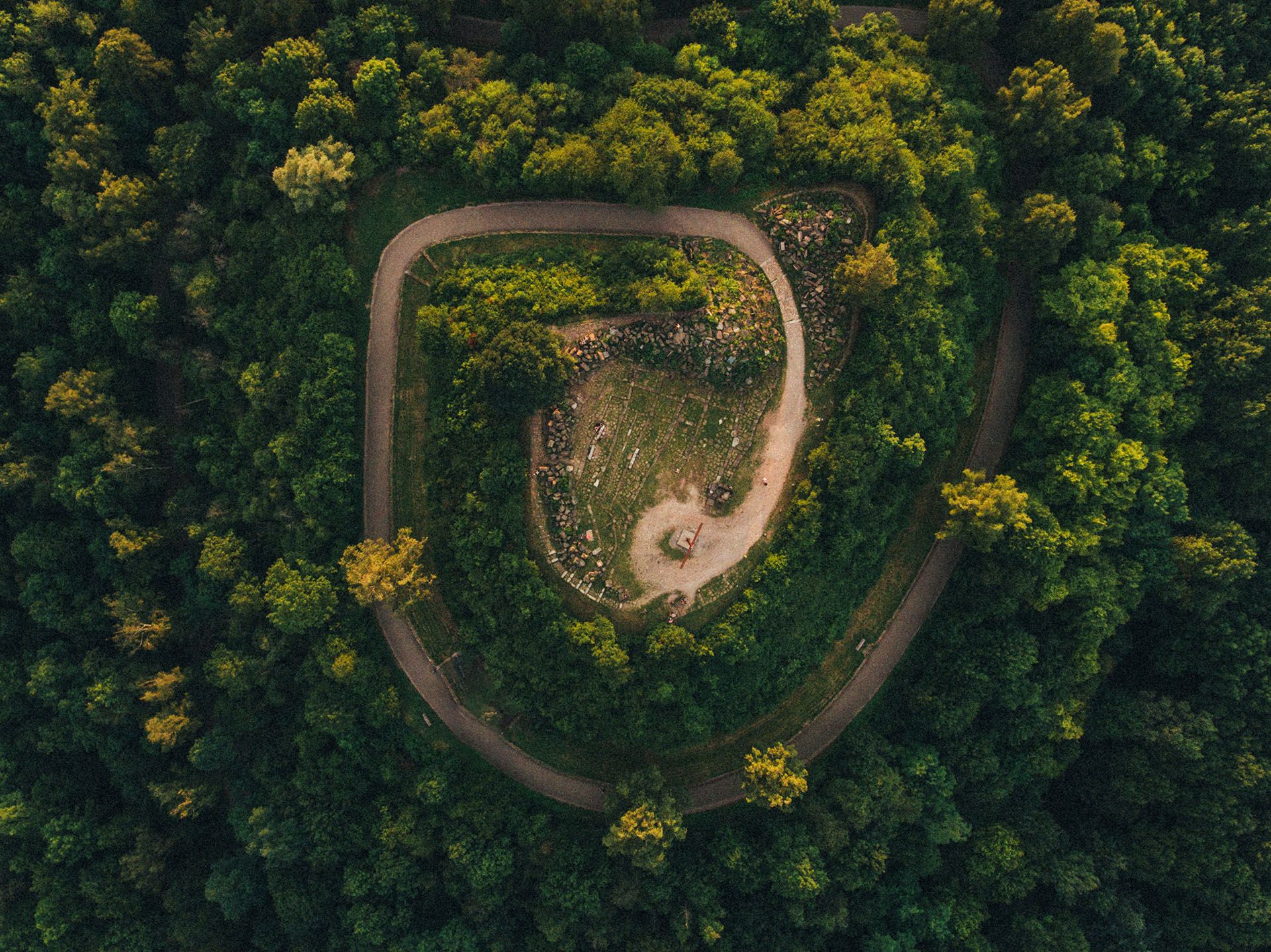A drone shot of a spiral road in a forest HD Wallpaper