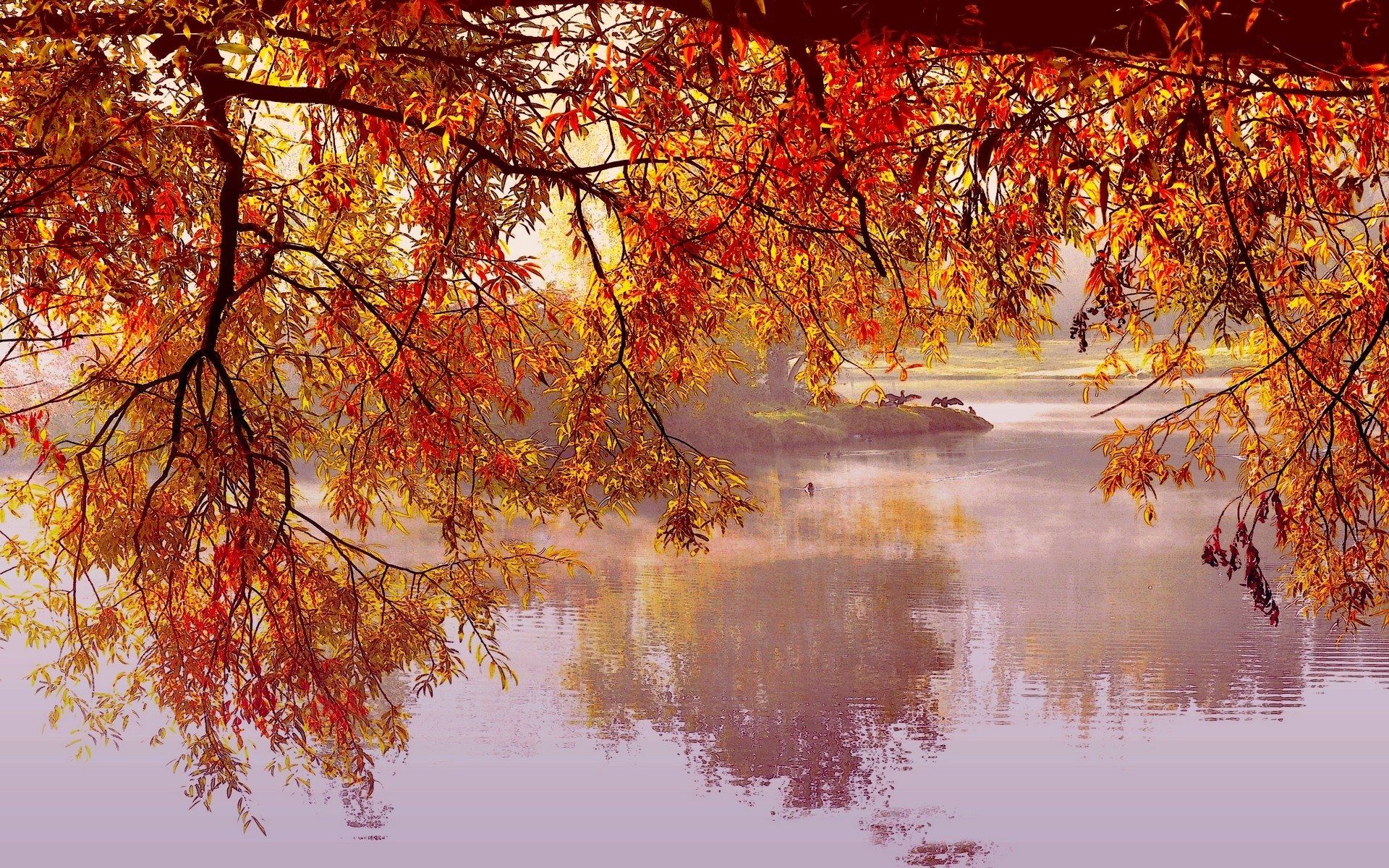 Autumn Branches HD Wallpaper. Background Imagex1200
