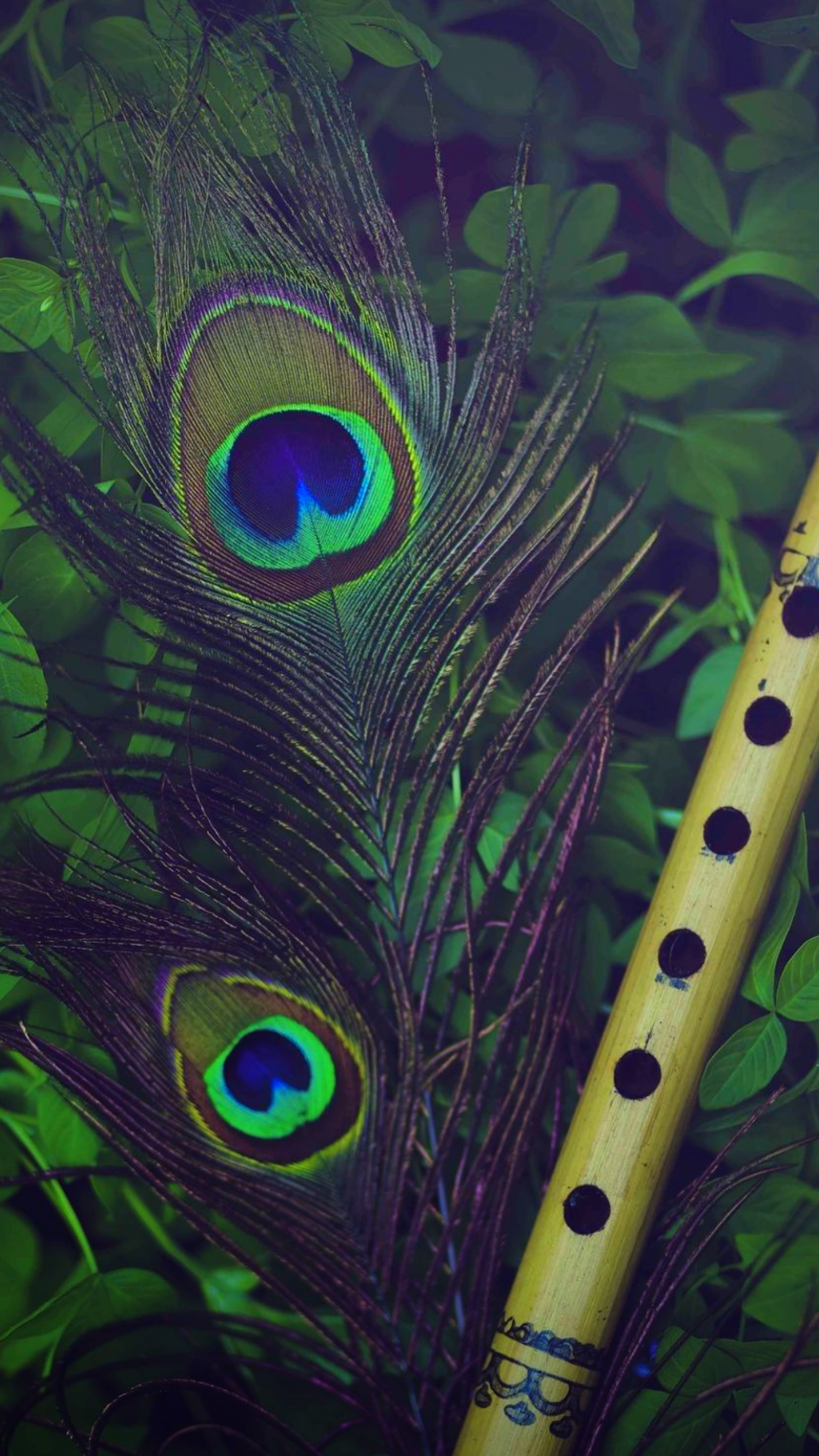iPhone Krishna Peacock Feather HD Wallpapers - Wallpaper Cave