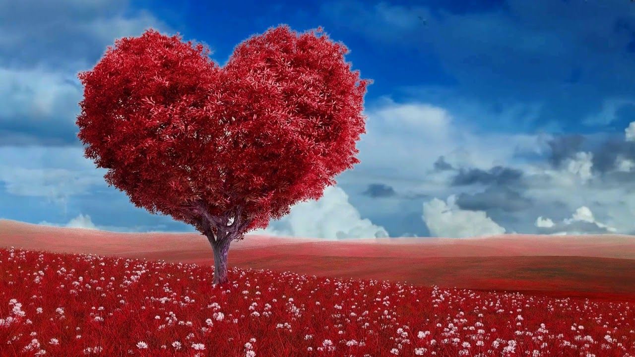 Beautiful 3D Landscape Nature Scenery, 3D Background Video Effects. Valentines wallpaper, Free valentine wallpaper, Wallpaper for computer background