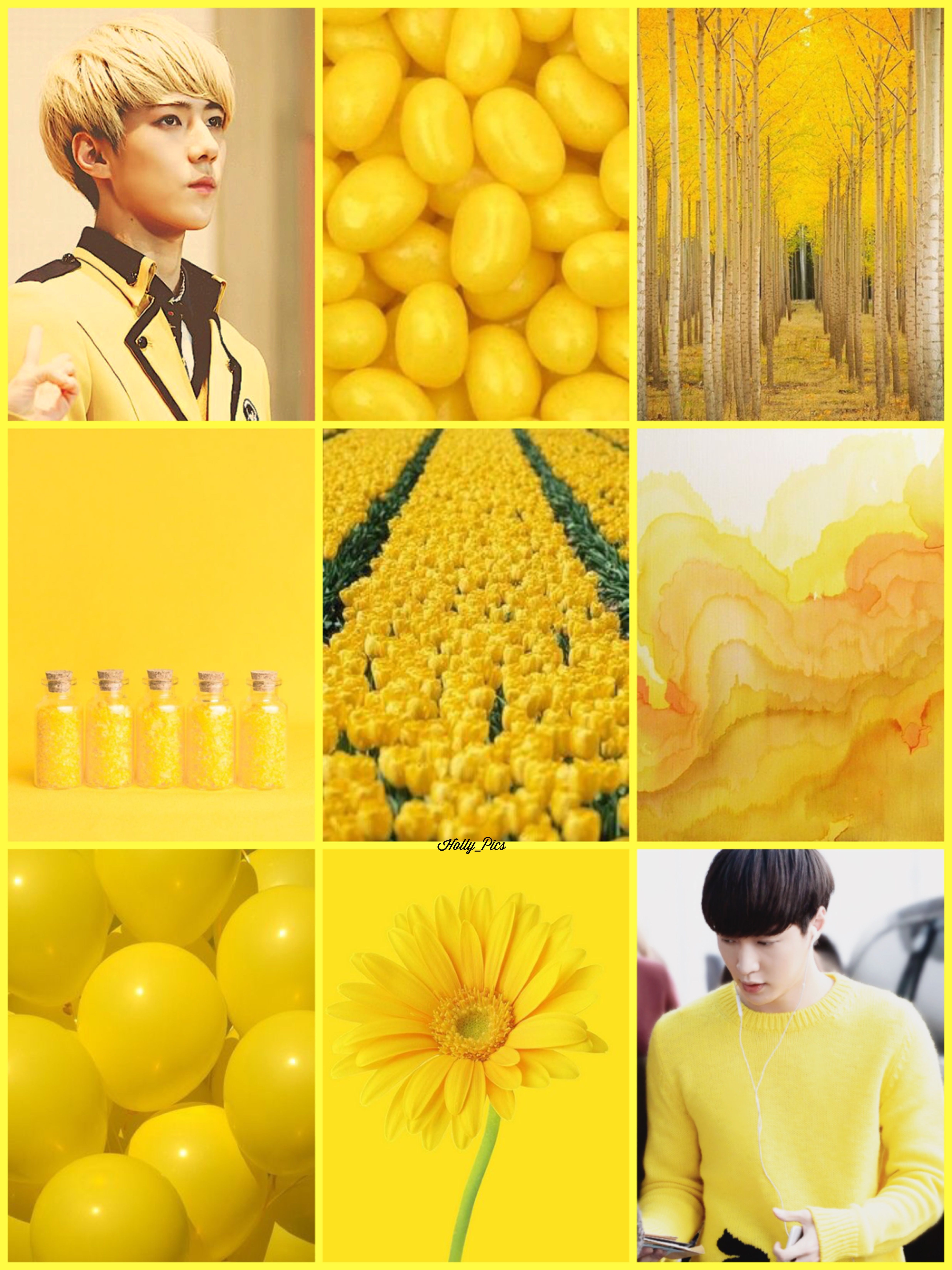 Sehun, Lay, Yellow. Exo, Sehun, Wallpaper