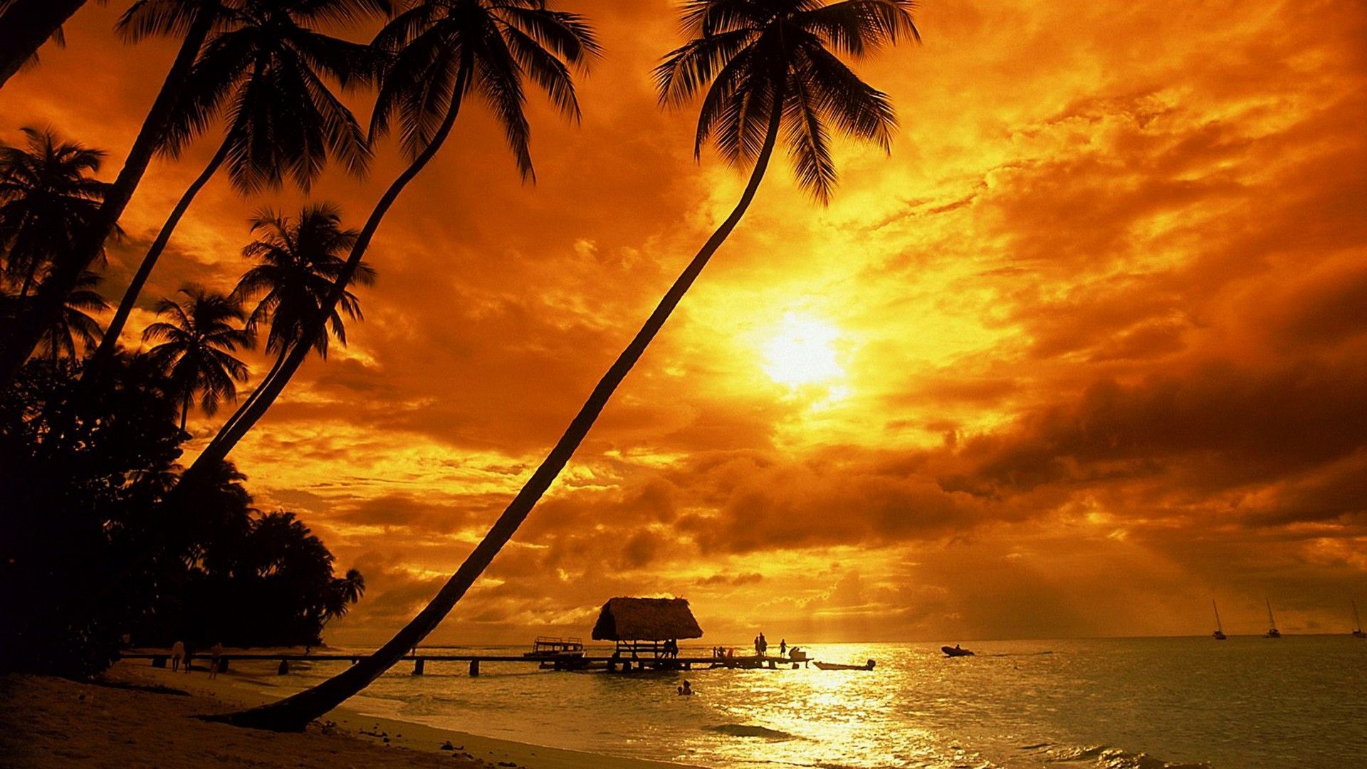 Wallpaper Computer Sunset Live Wallpaper HD. Sunset wallpaper, Beach wallpaper, Beach palm trees