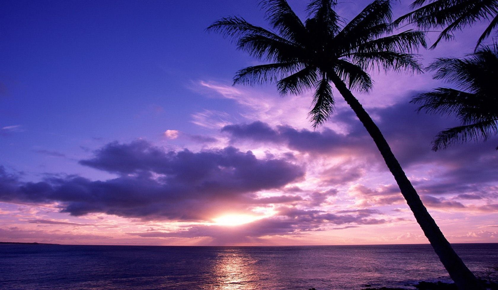 Cool Amazing Desktop Wallpaper Live Wallpaper HD. Sunset wallpaper, Beautiful sunset, Beach sunset