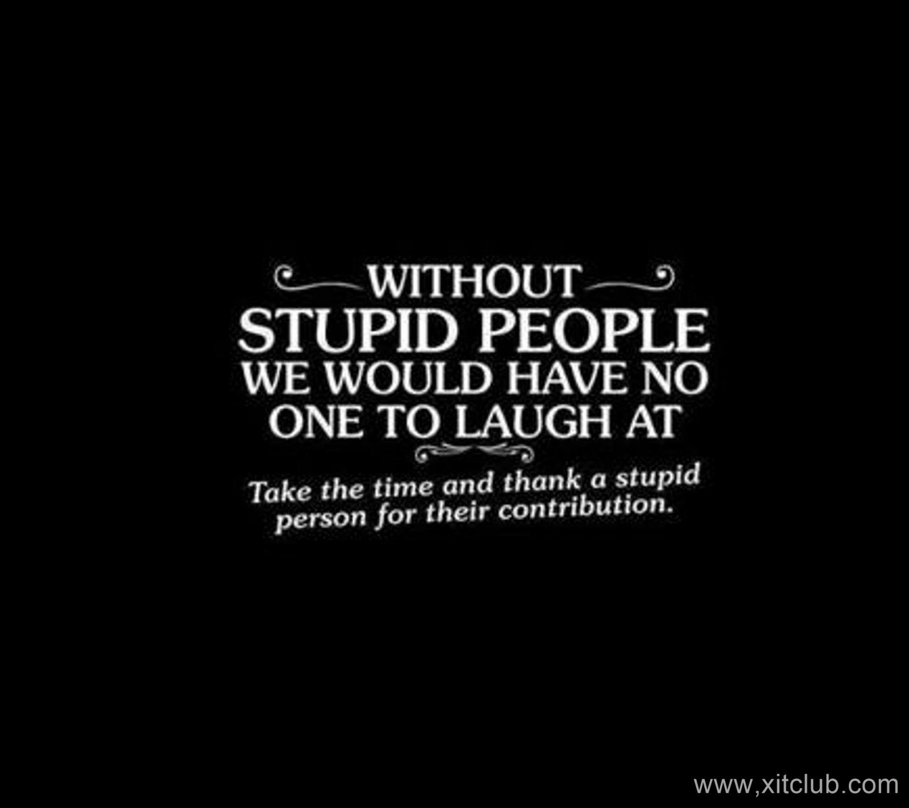 Stupid people. Stupid quotes. Предложение со словом stupid. Quotation about stupid people. Quote on stupid.