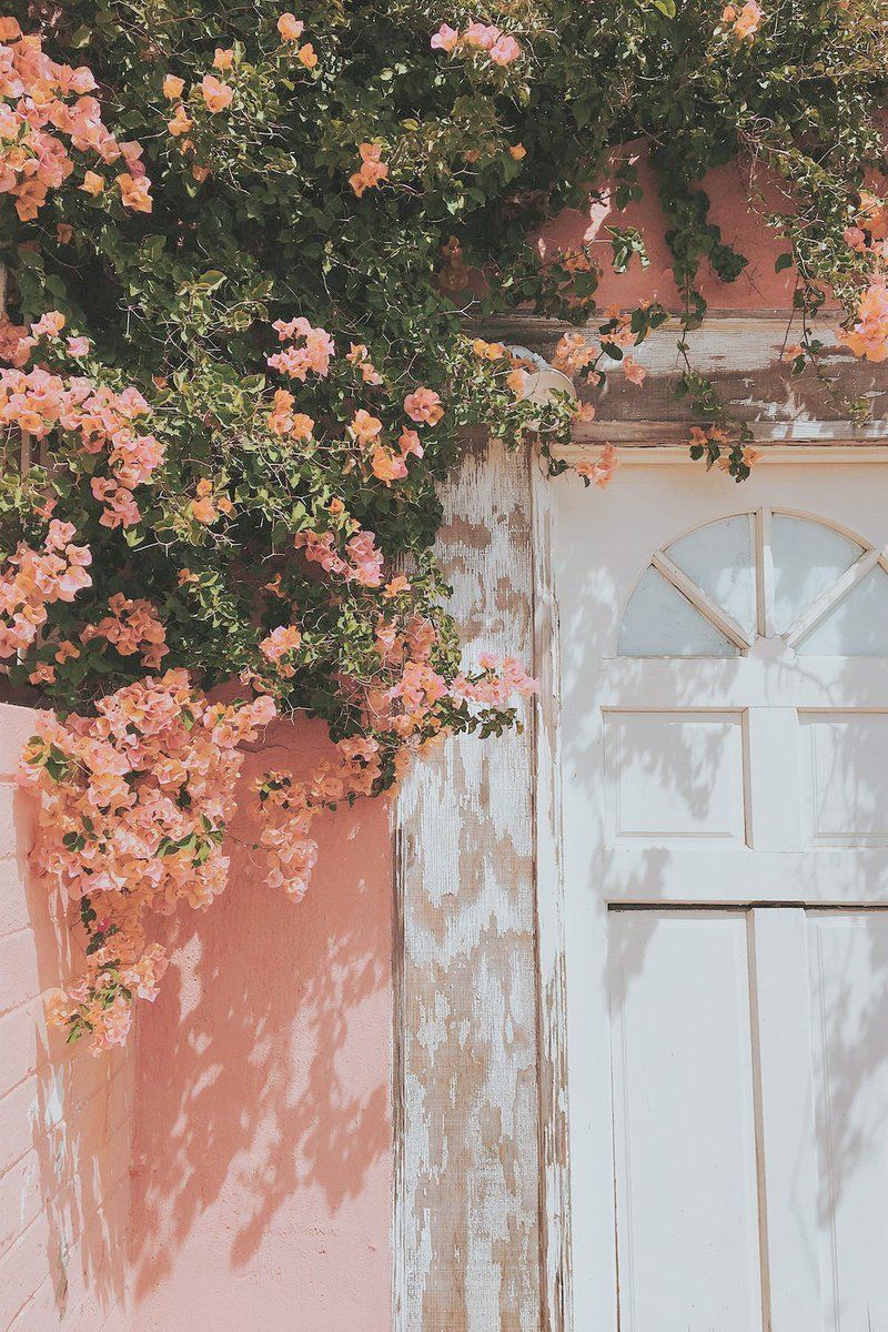 Aesthetic Peach Pink Color Wallpaper