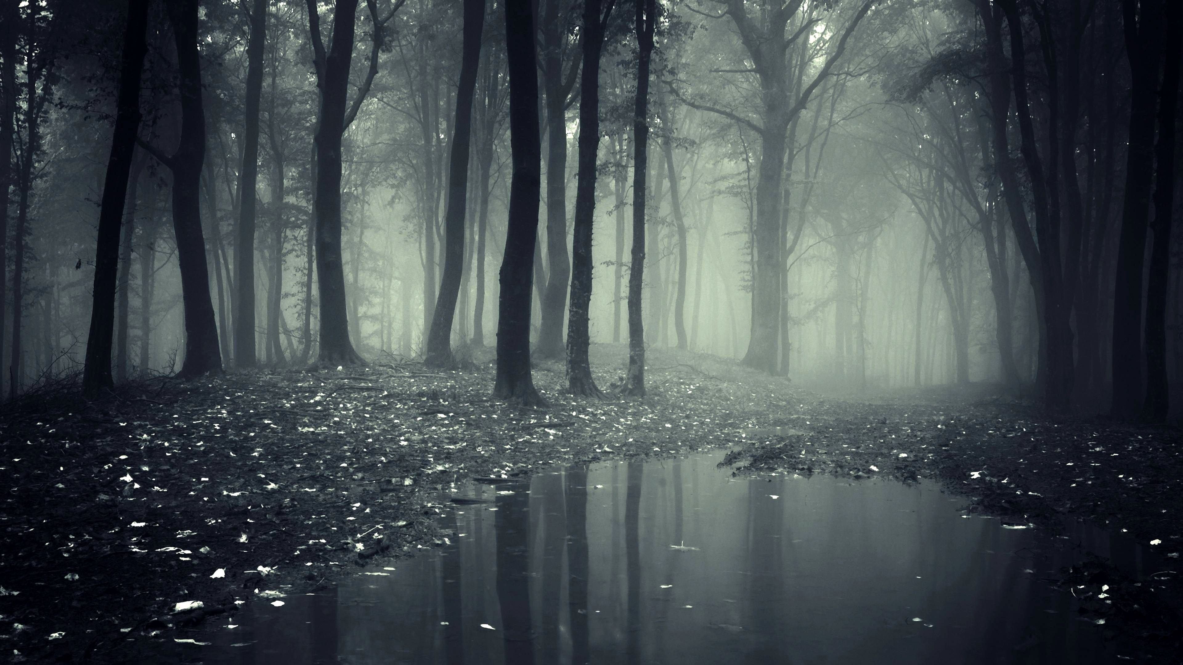Black Nature 4k Wallpapers Wallpaper Cave