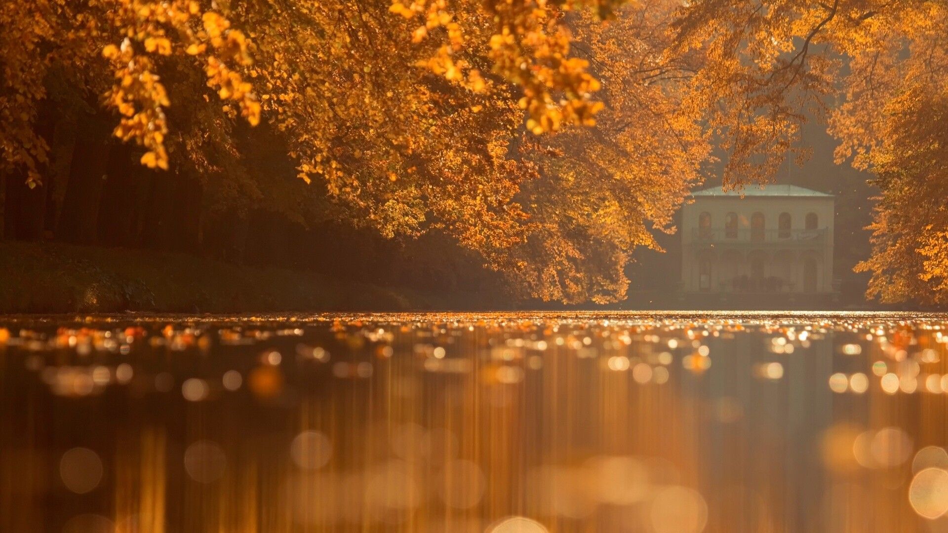 Autumn Nature Laptop Full HD 1080P HD 4k Wallpaper, Image, Background, Photo and Picture