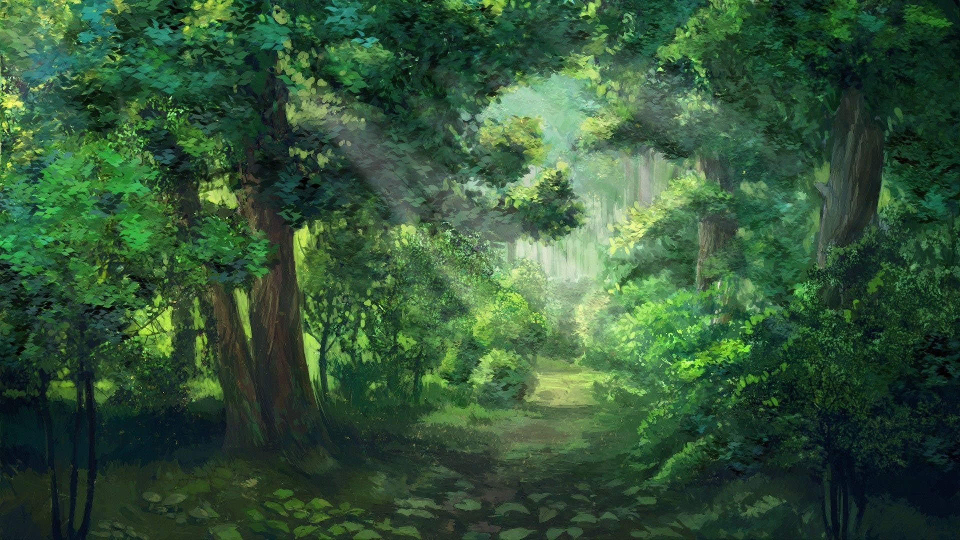 Summer Forest Fantasy Wallpapers - Wallpaper Cave