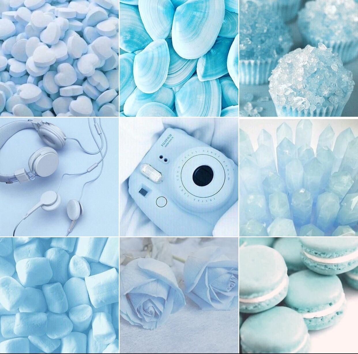 Download Pastel Blue Aesthetic White Flowers Wallpaper  Wallpaperscom