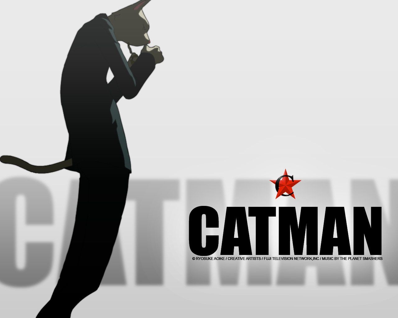 Catman HD Wallpaper and Background Image