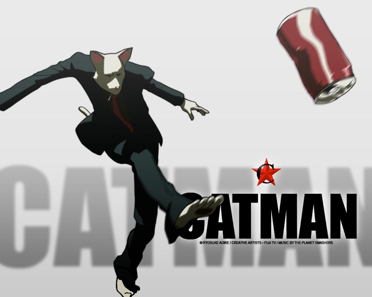 Catman Wallpaper HD Download