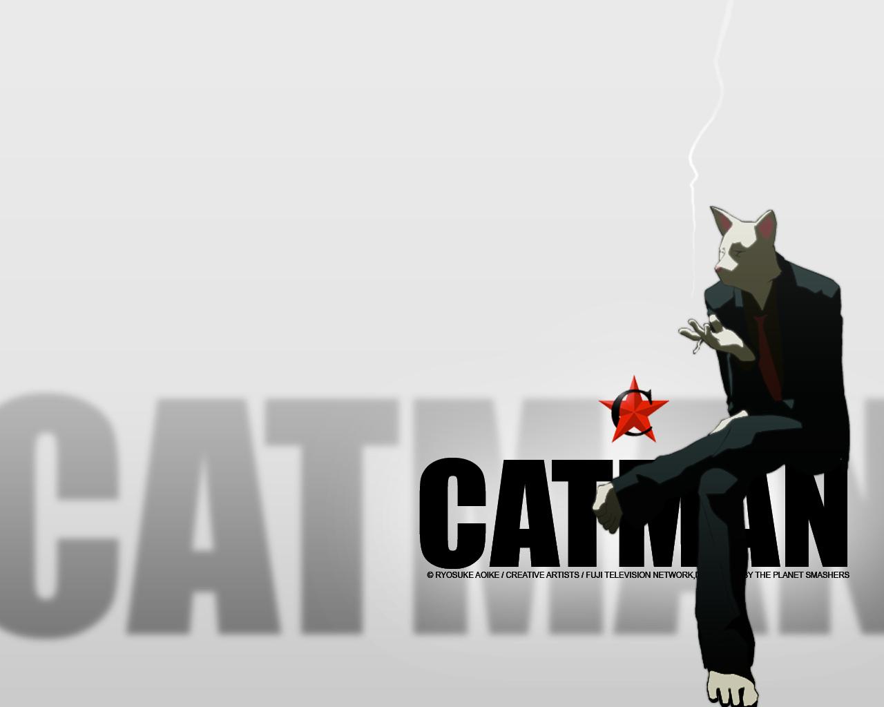 Catman Wallpaper HD Download