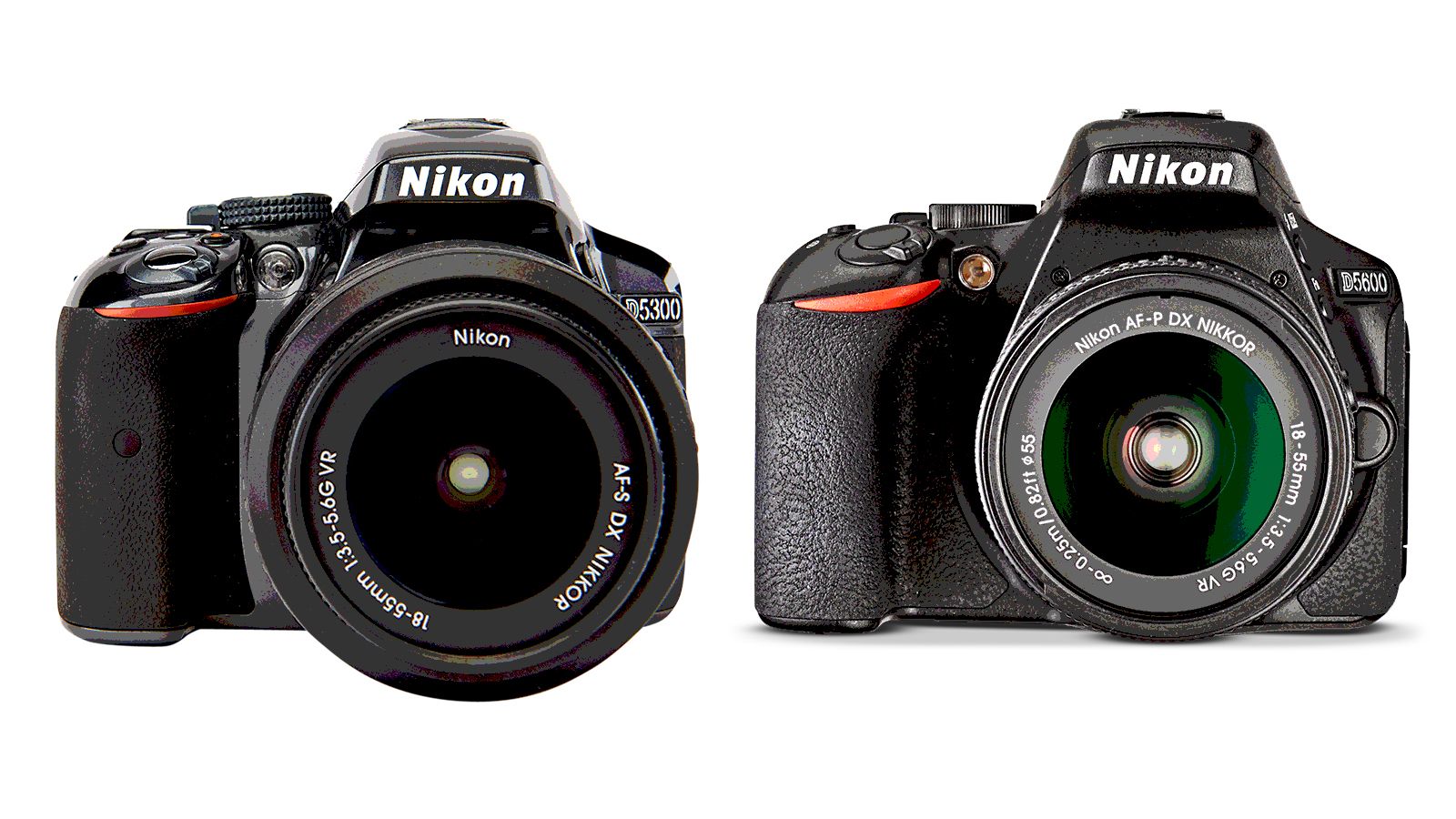 Nikon D5300 vs D5600: Which camera should you buy?. Digital Camera World