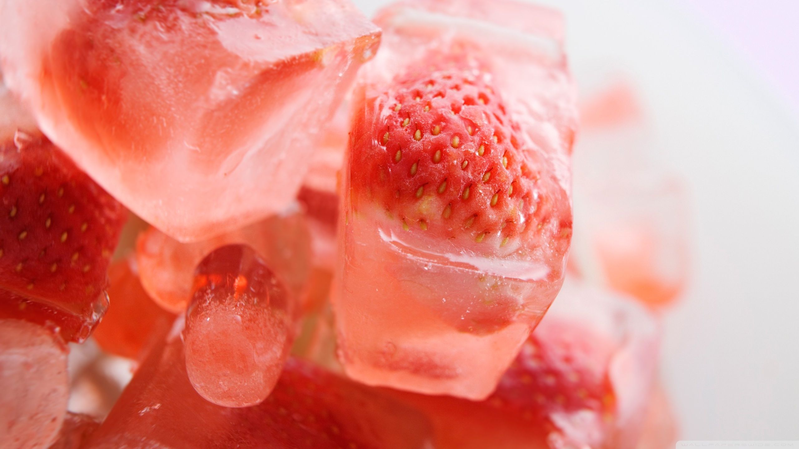 Strawberry on ice cubes HD Wallpaper Cupcakepedia. Strawberry, Frozen strawberries, Food