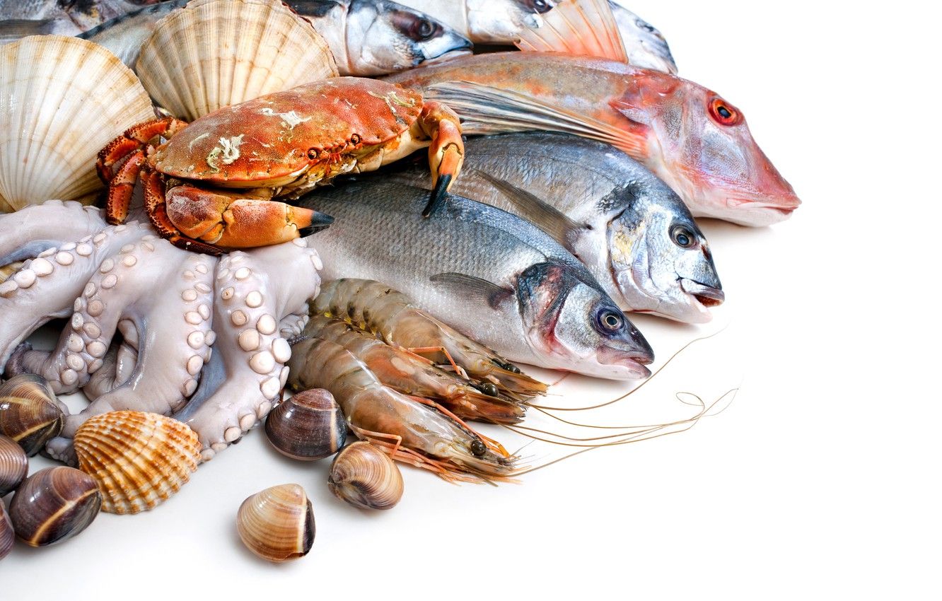 Photo Wallpaper Fish, White Background, Shell, Crabs, Sea Food