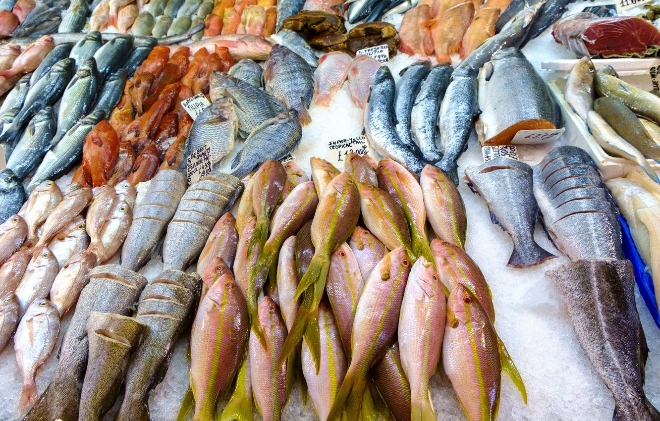 Wallpaper Fish, fish, variety, frozen meat image for desktop, section еда