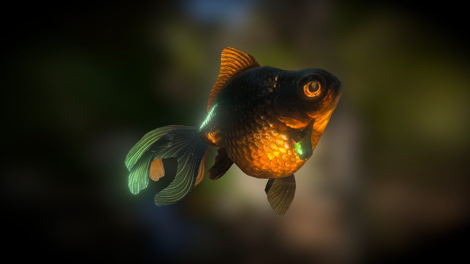 Black Moor Goldfish (Smoothie 3D Upload) Royalty Free 3D Model By Thomas Flynn [2e7254b]