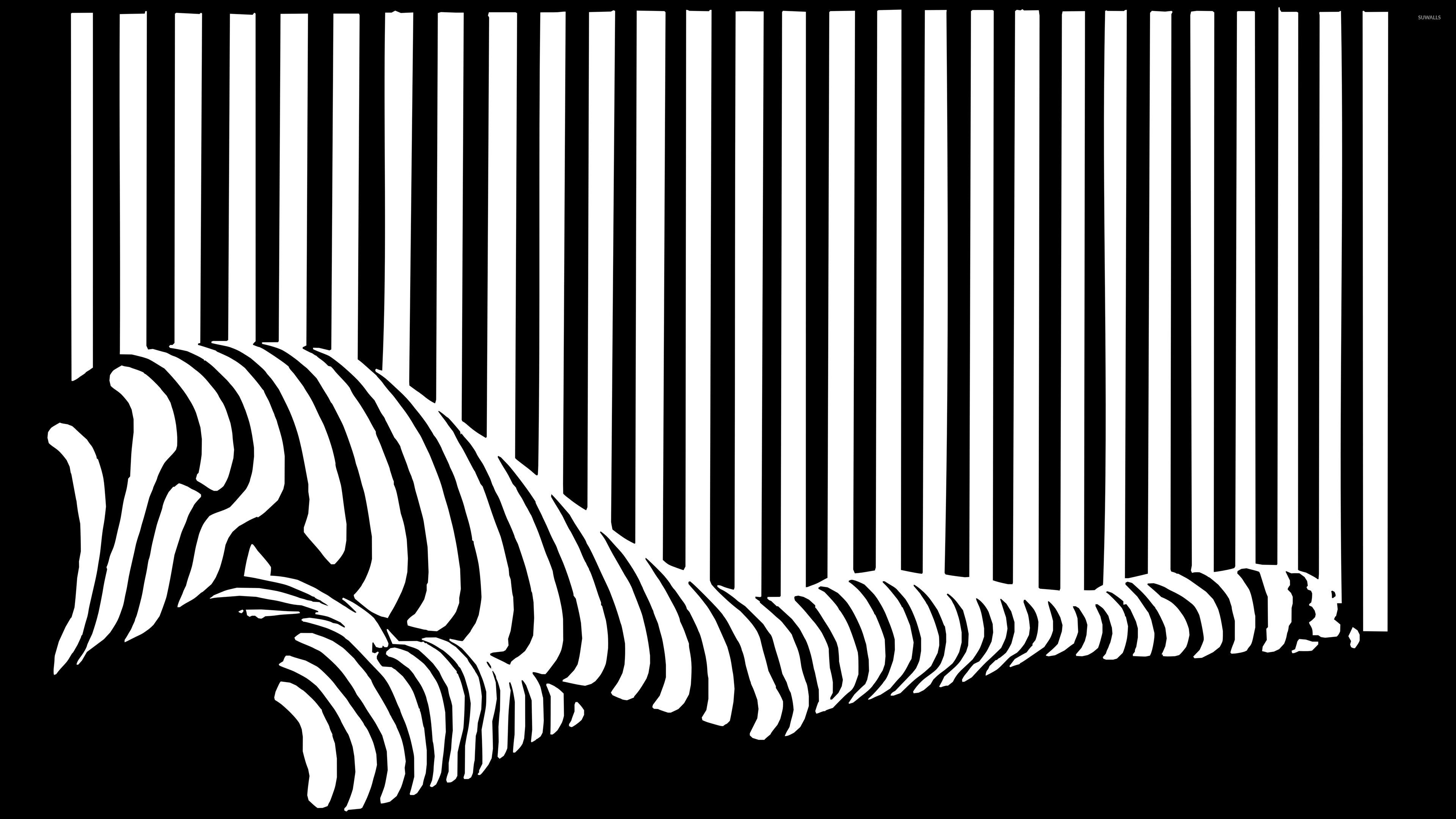 Magnificent Black And White Stripes. Decorations. Damput Home. Phone background black and white, Abstract, Abstract wallpaper