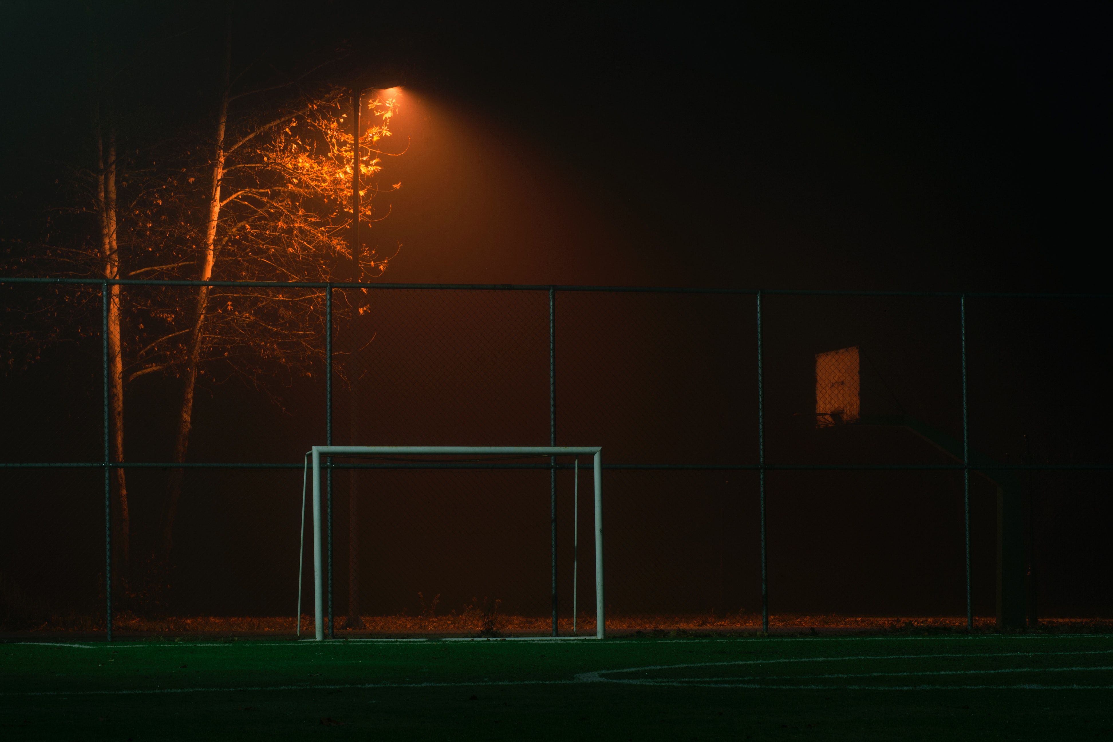 Soccer Goal Net · Free
