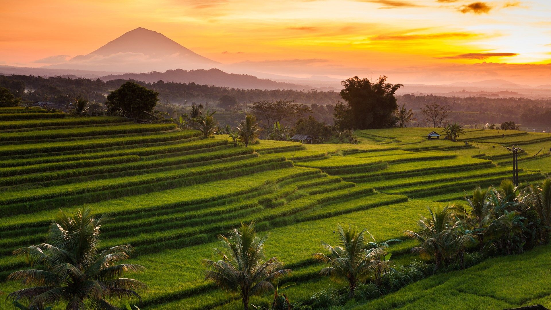 Wallpaper, nature, landscape, mountains, trees, field, sky, sunset, clouds, far view, Rice Terrace, Bali, Indonesia 1920x1080