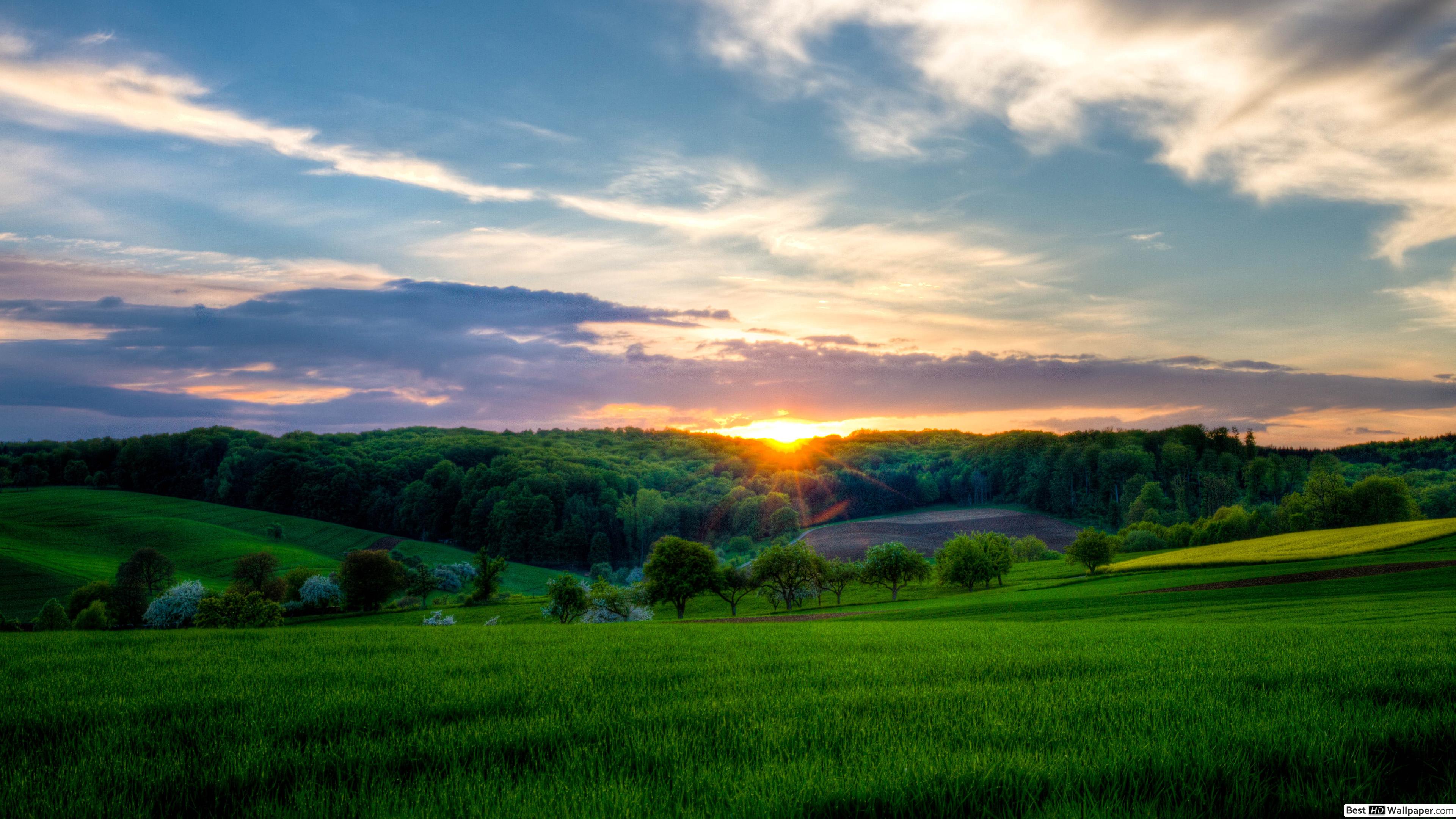 Sunset view from a green field HD wallpaper download