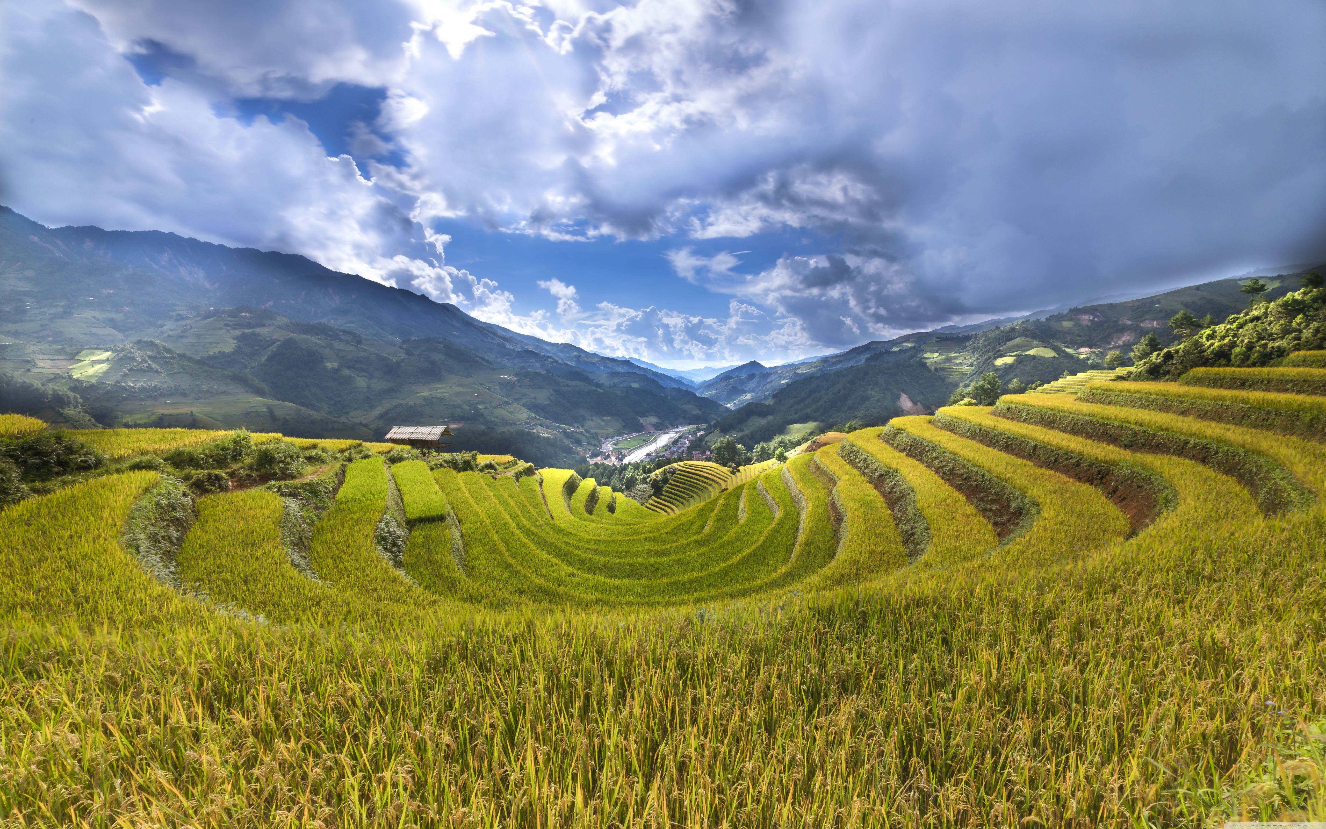 Rice Paddy Terraces Ultra HD Desktop Background Wallpaper for 4K UHD TV, Widescreen & UltraWide Desktop & Laptop, Tablet