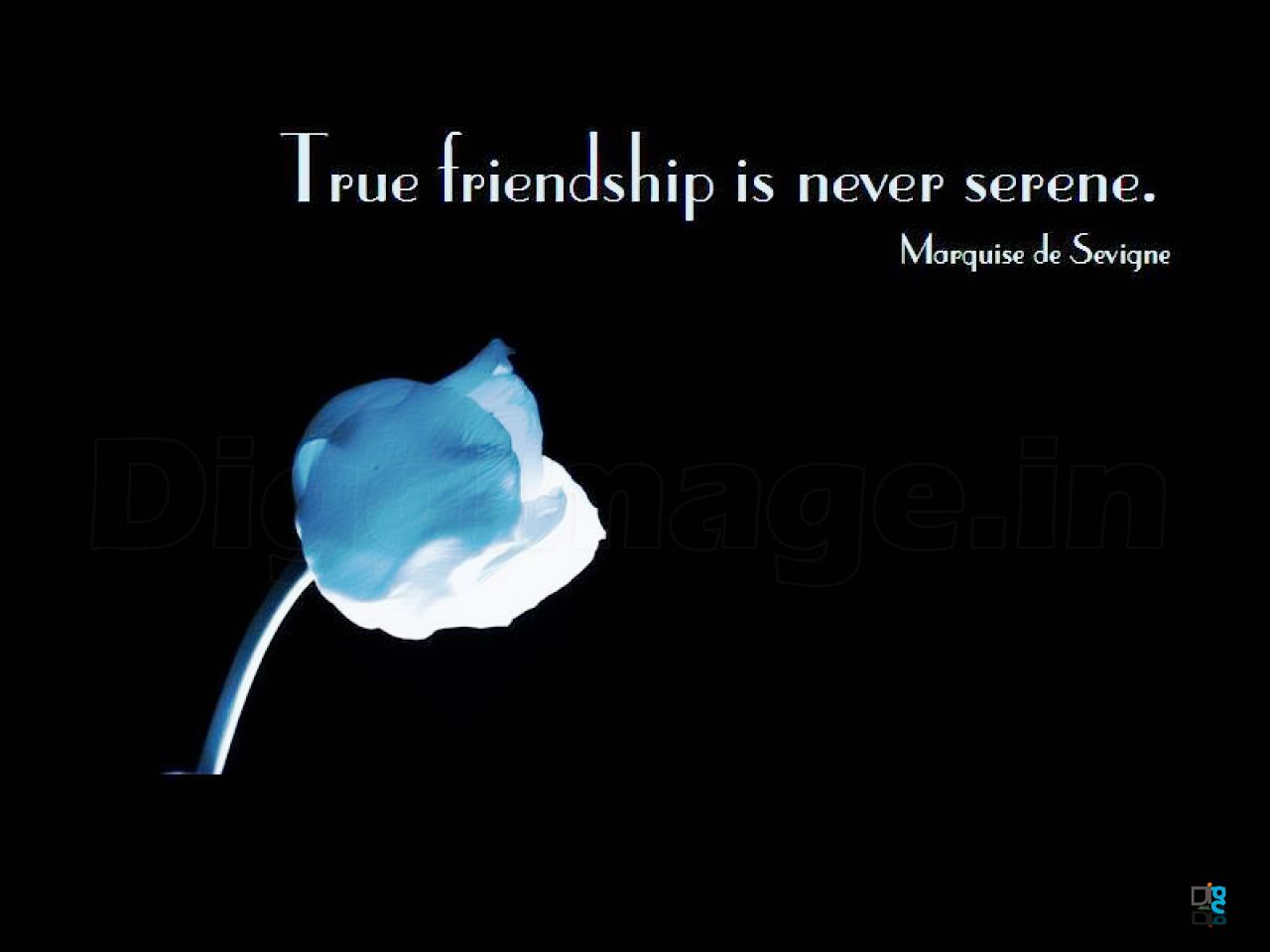 True Friendship is never Serene Best friends wallpaper and Scraps free for Orkut and facebook i g g I m a g e