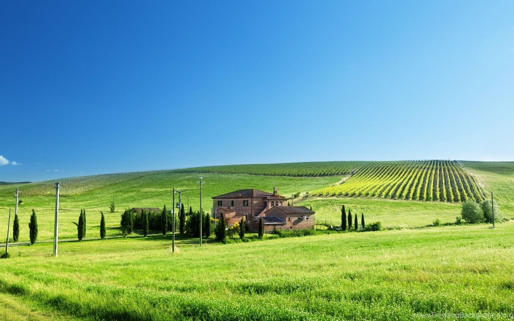 Farms Tuscan Farm Bright Summer Day Hills Fields Sky Wallpaper. Desktop Background