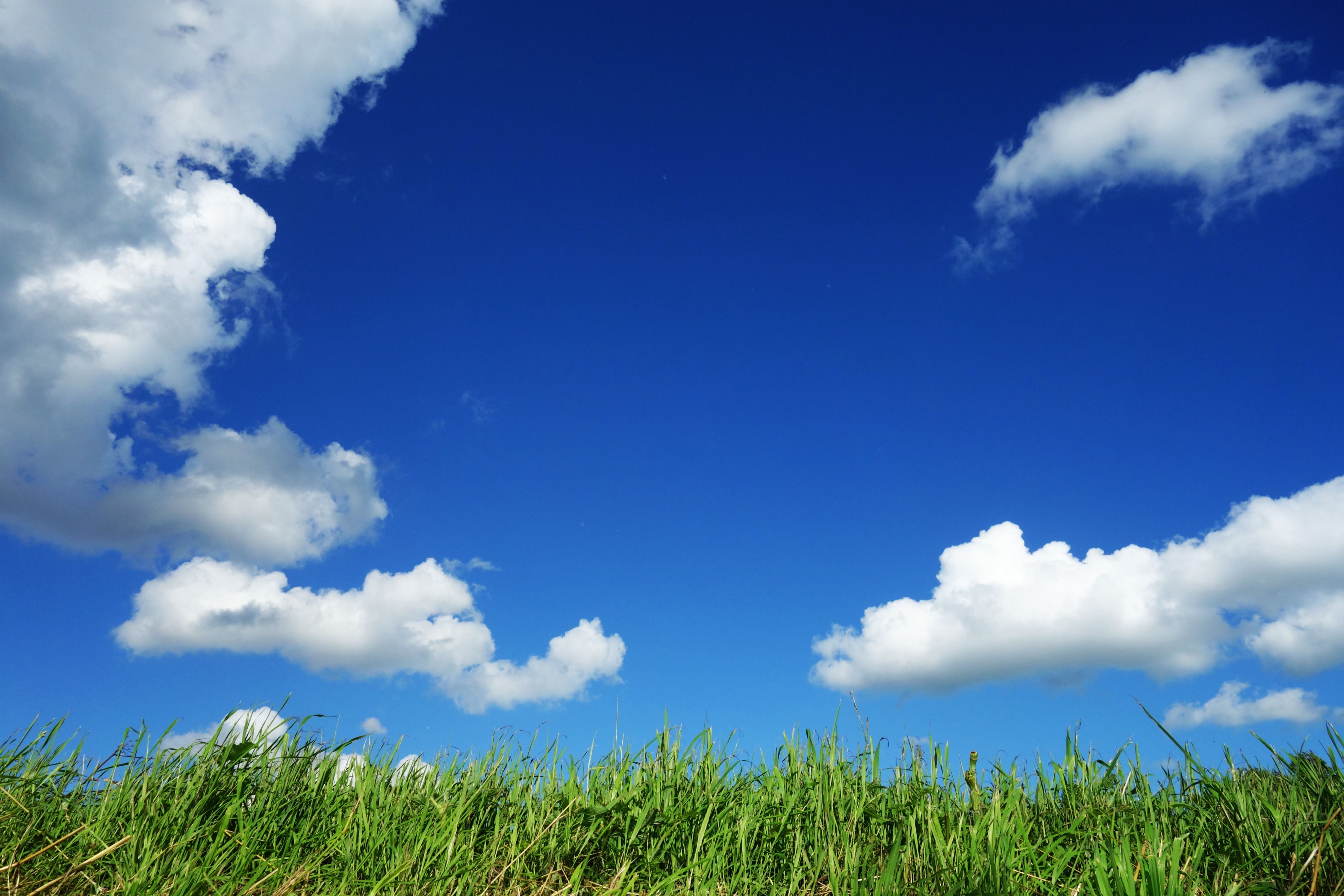 Grass Field Under Cloudy Sky · Free
