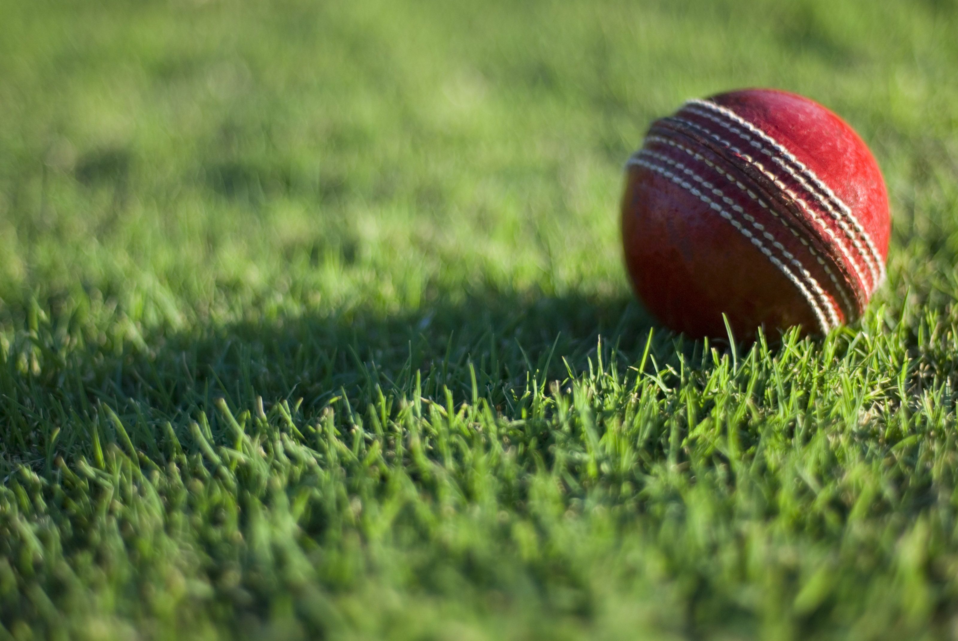 Cricket on sale wallpapers 4k