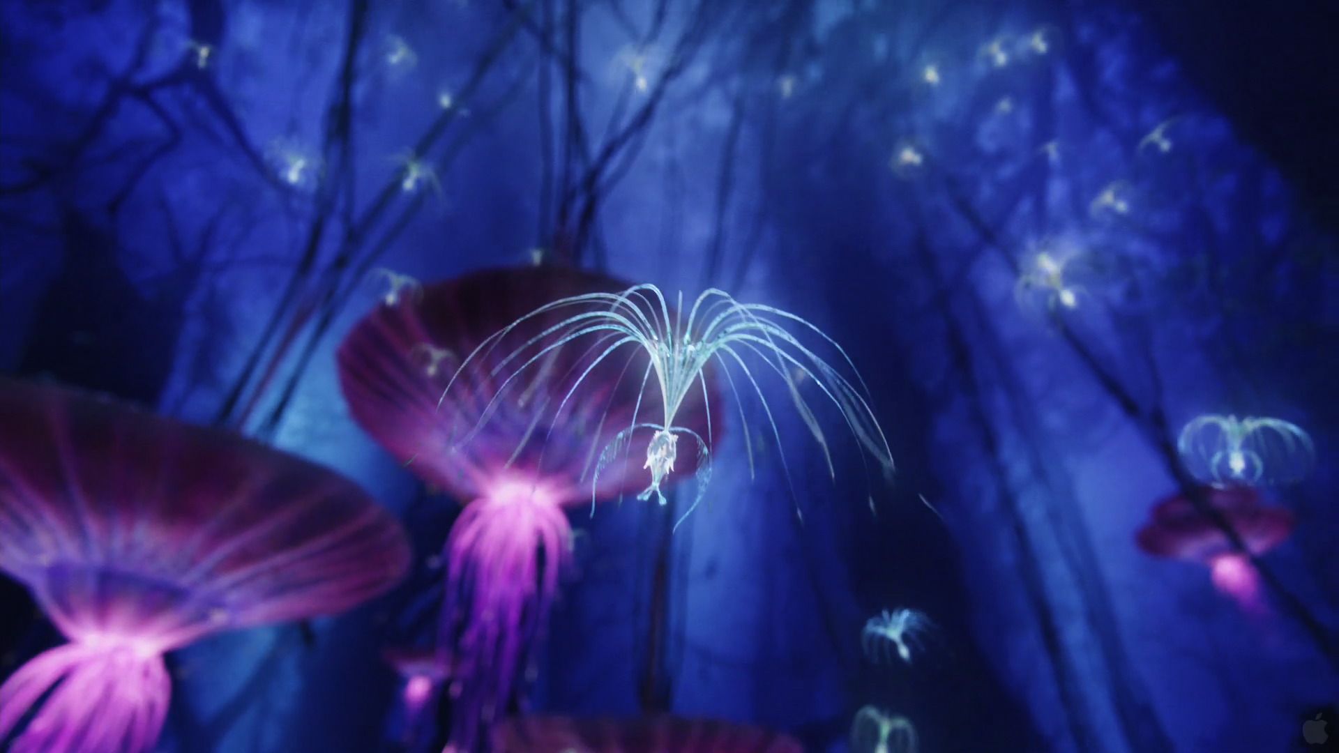 Free download from Avatar wallpaper Click picture for high resolution HD wallpaper [1920x1080] for your Desktop, Mobile & Tablet. Explore Avatar Wallpaper for Desktop. Avatar State Wallpaper, Avatar Wallpaper