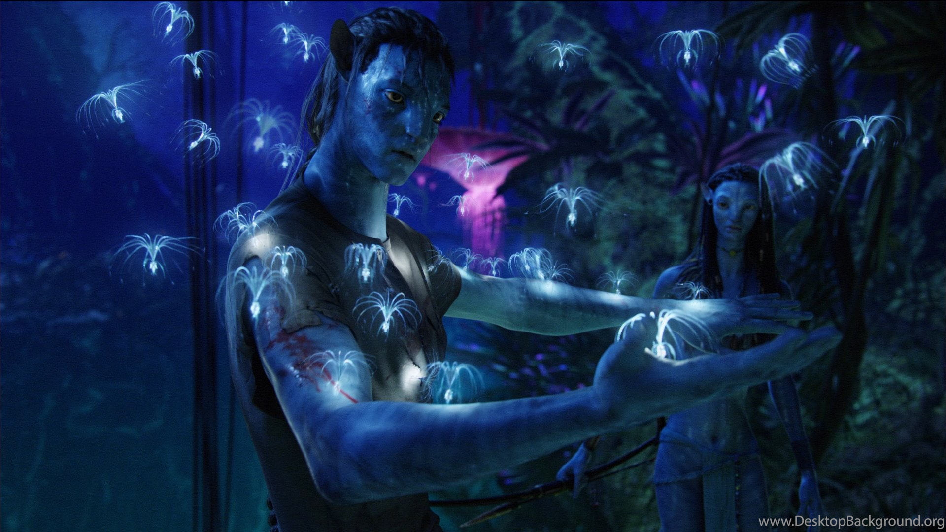 Avatar Wallpaper HD Wallpaper Zone Desktop Background