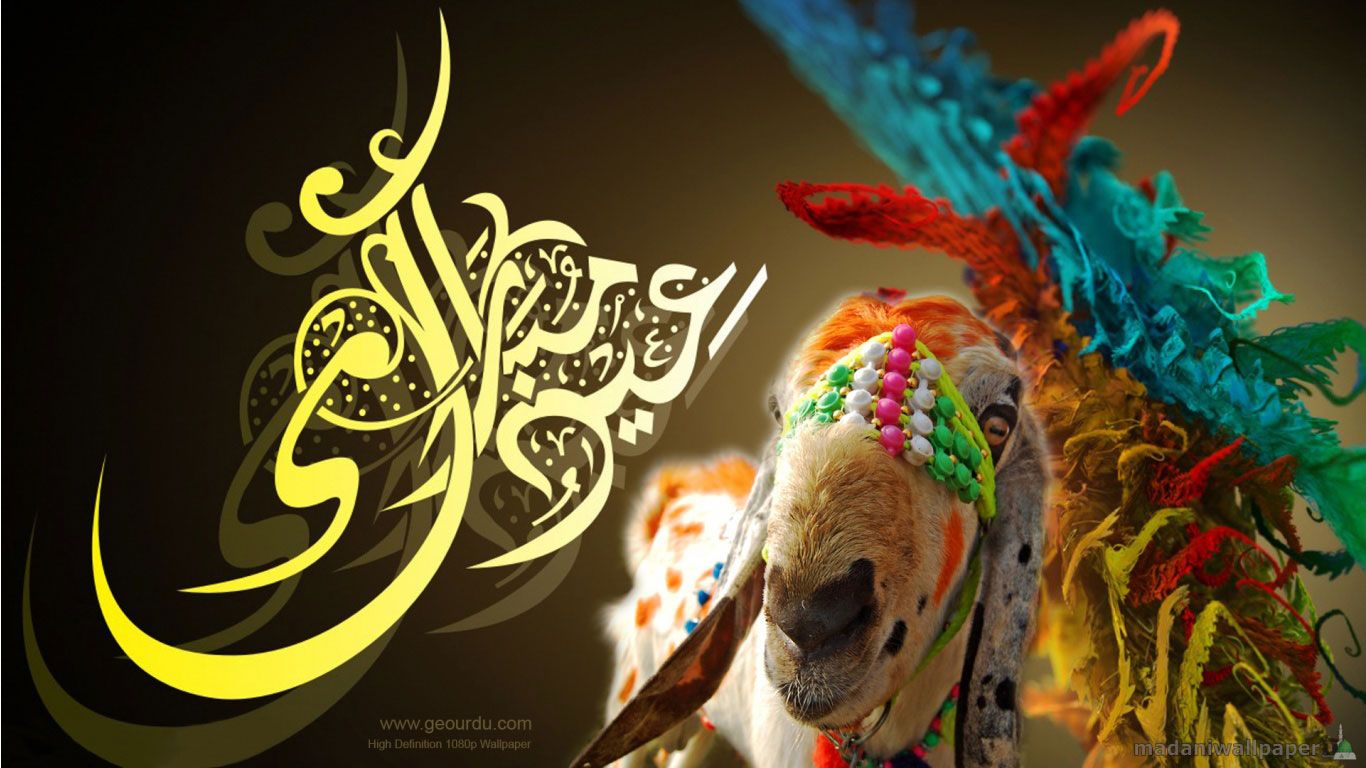 Bakra Eid HD Wallpaper Free Download
