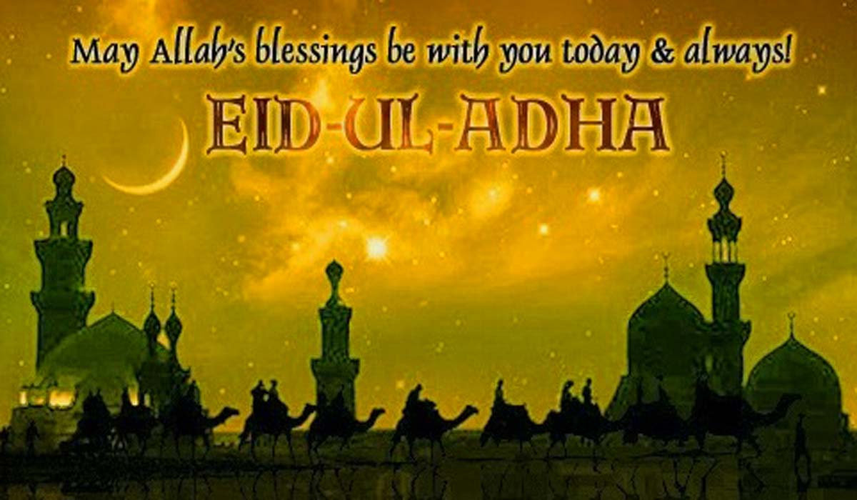 Bakra Eid Card Wallpaper Ul Adha Mubarak Wishes HD Wallpaper