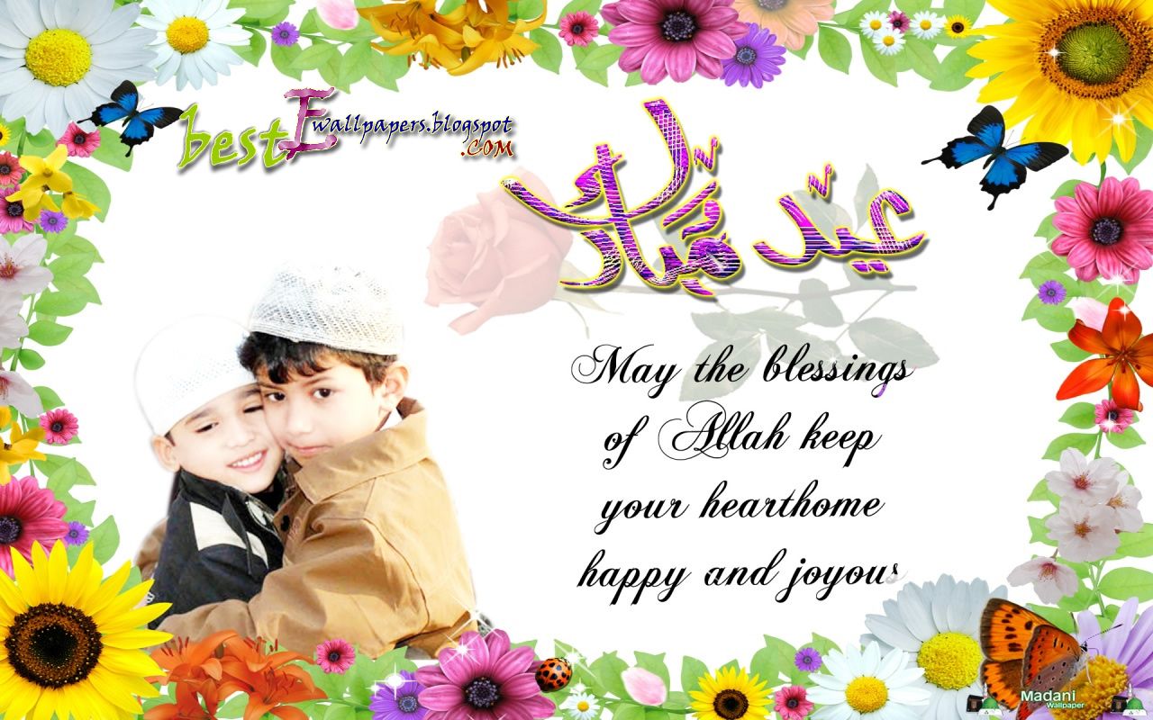 pic new posts: Bakra Eid Wallpaper