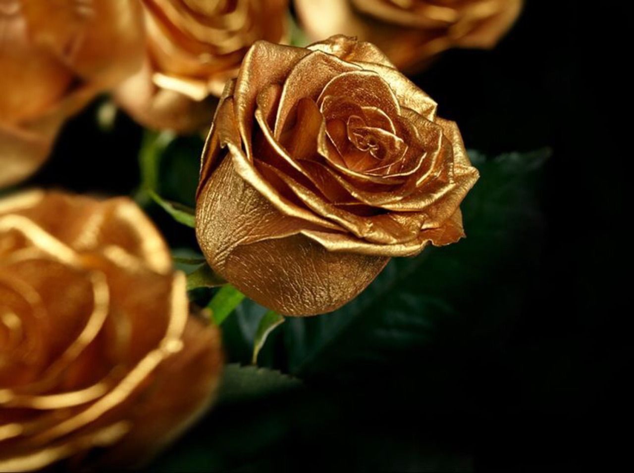 Illustration of 3D golden rose on silk background 3D wallpaper Stock Photo   Alamy