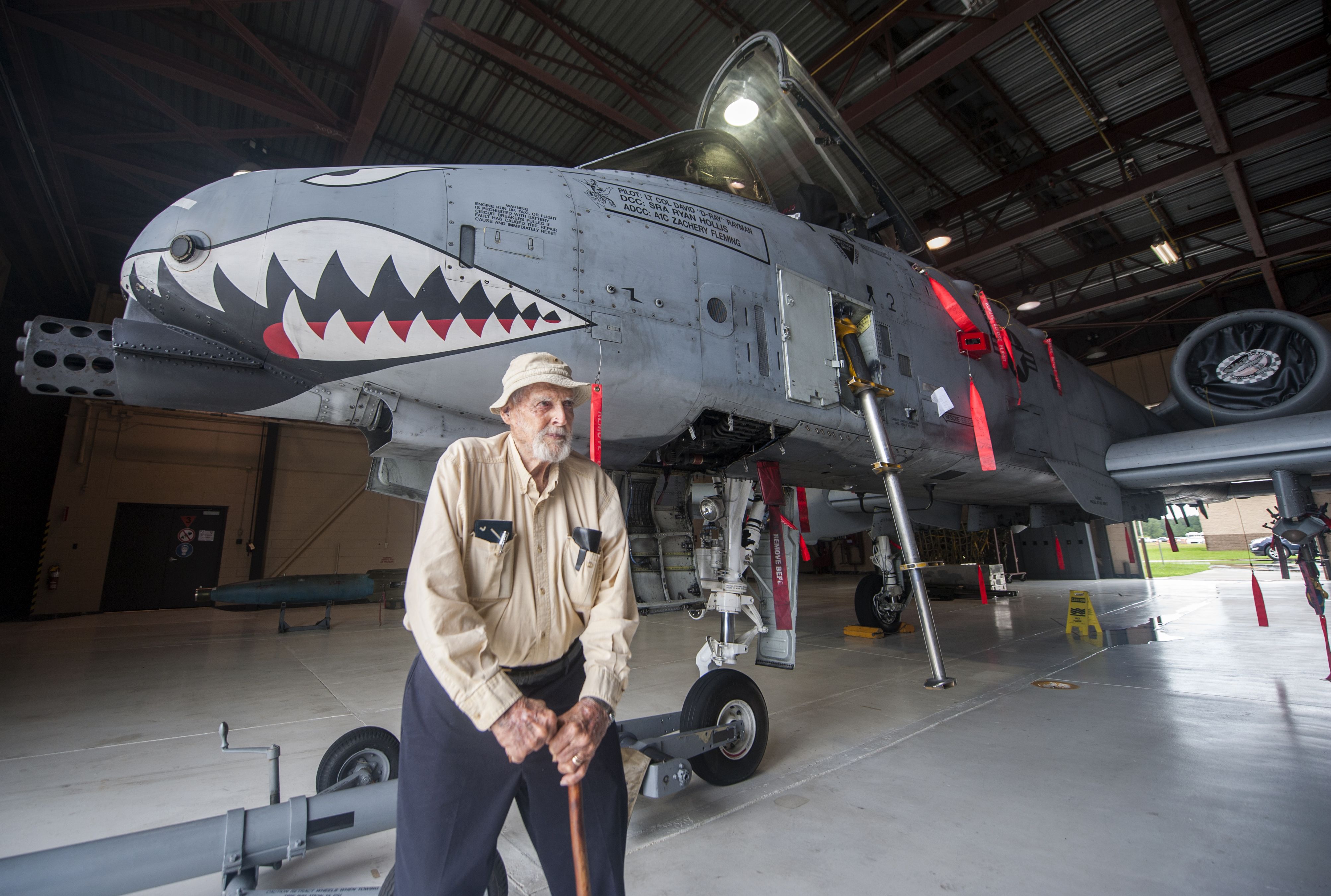 Modern Day Shark Teeth